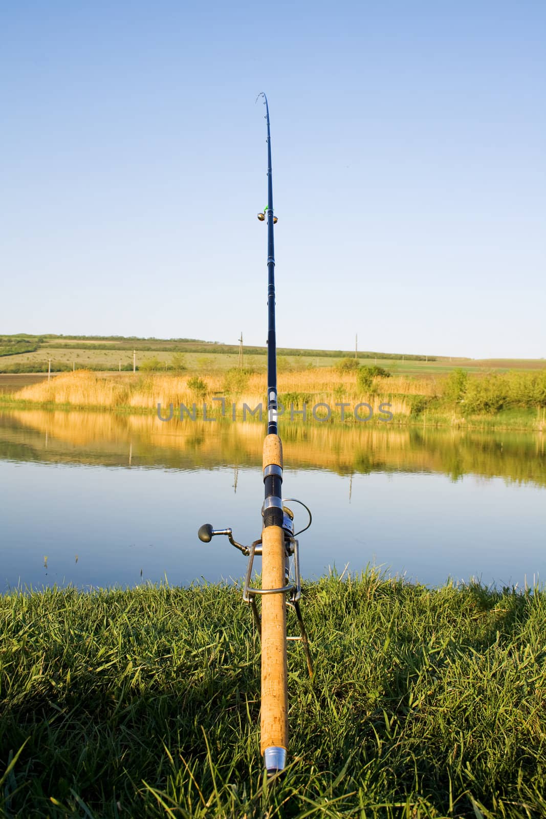 fishing in a calm swedish lake on a sunny day