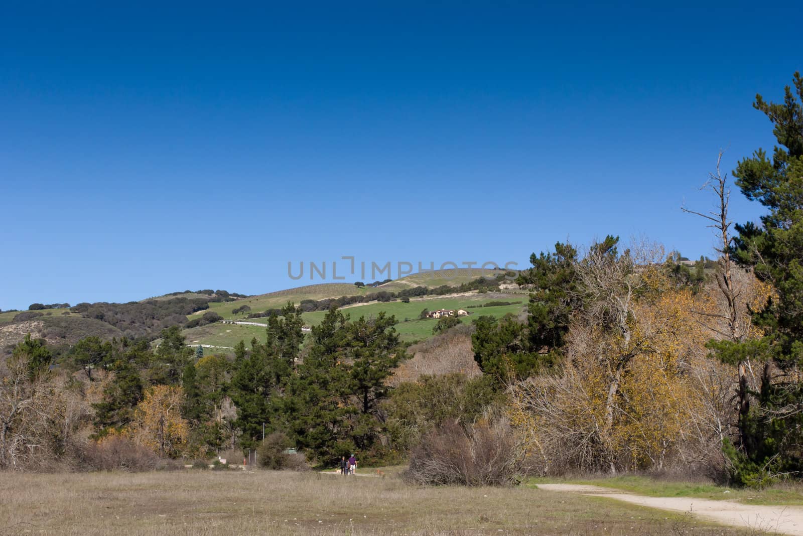 Hills Overlooking Garland Ranch Regional Park in Carmel Valley, California.
