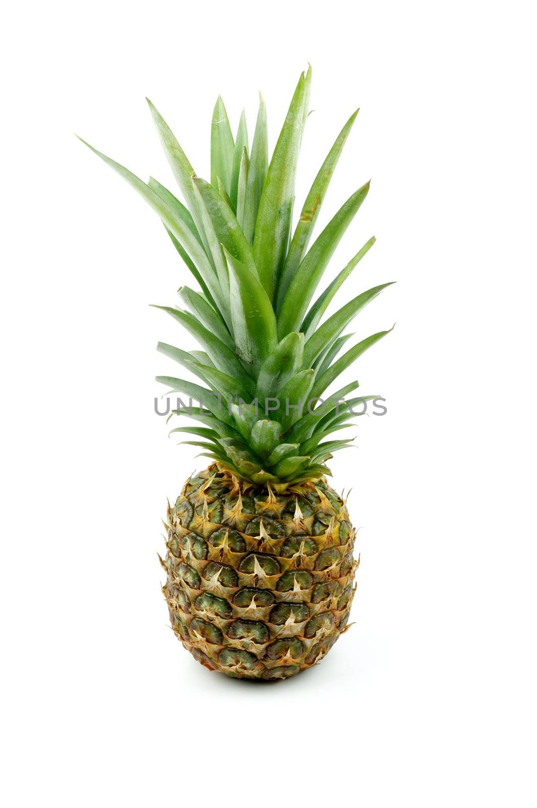 Pineapple by zhekos