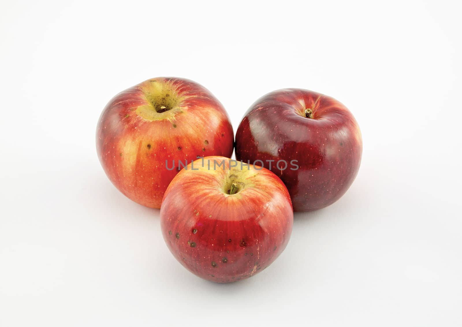 Red apples by renegadewanderer