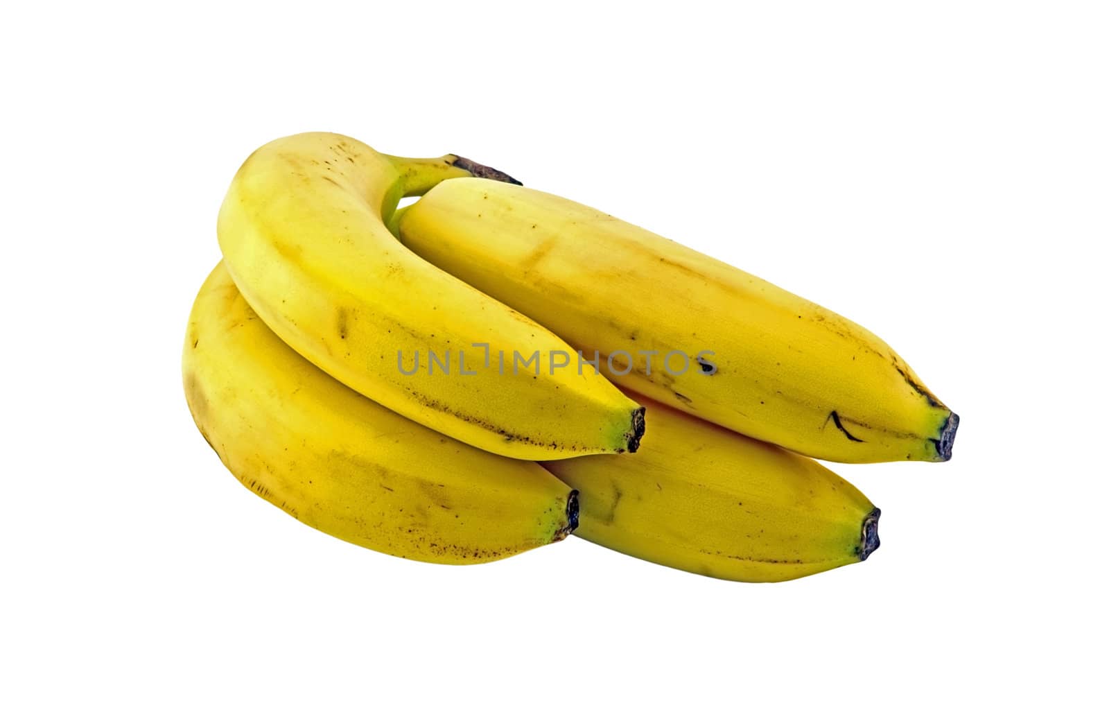Bananas by renegadewanderer