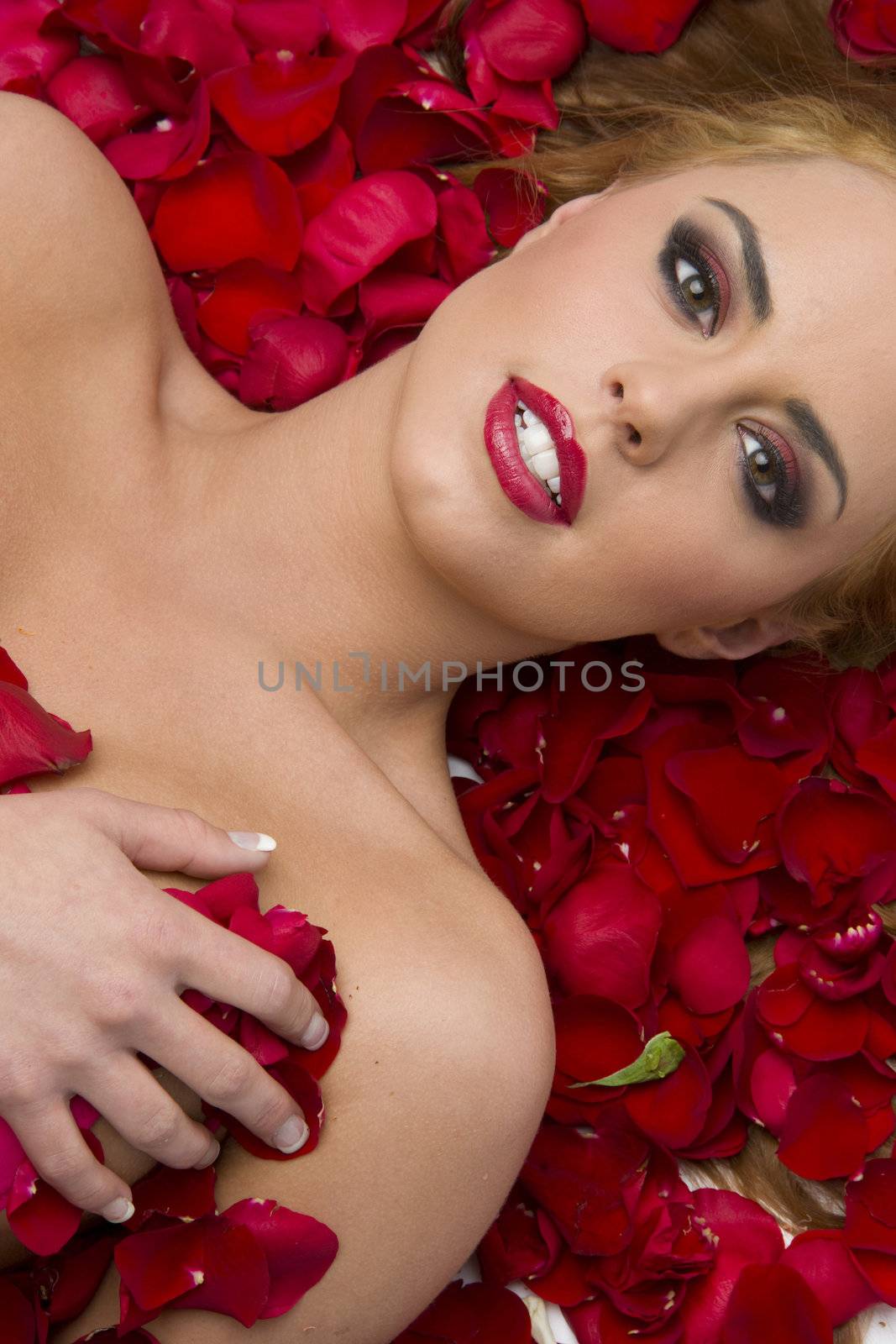 Nude in Red Rose Petals by ChrisBoswell