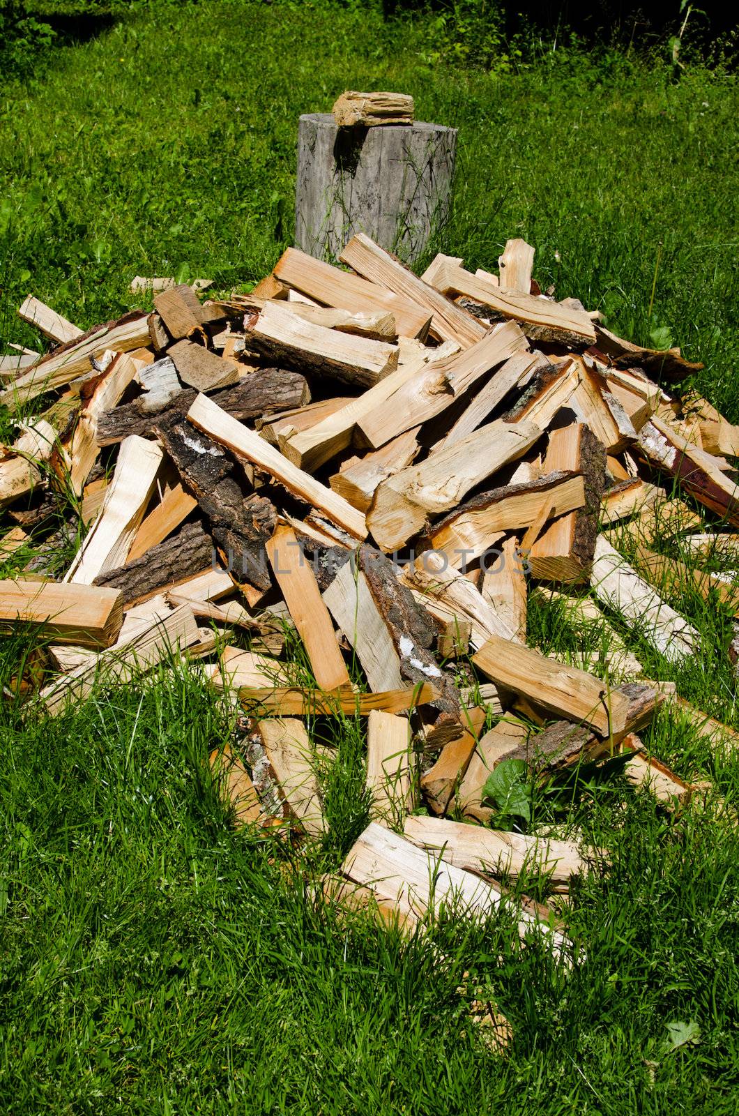 Pile of chopped wood on meadow