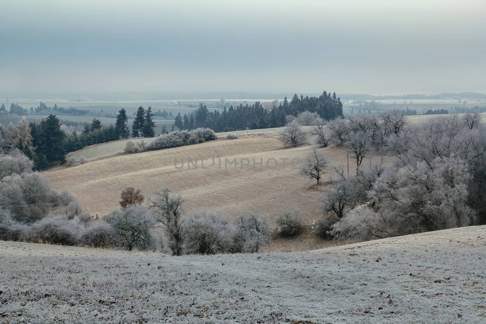 overcast winter scenery with frozen landscape in winter