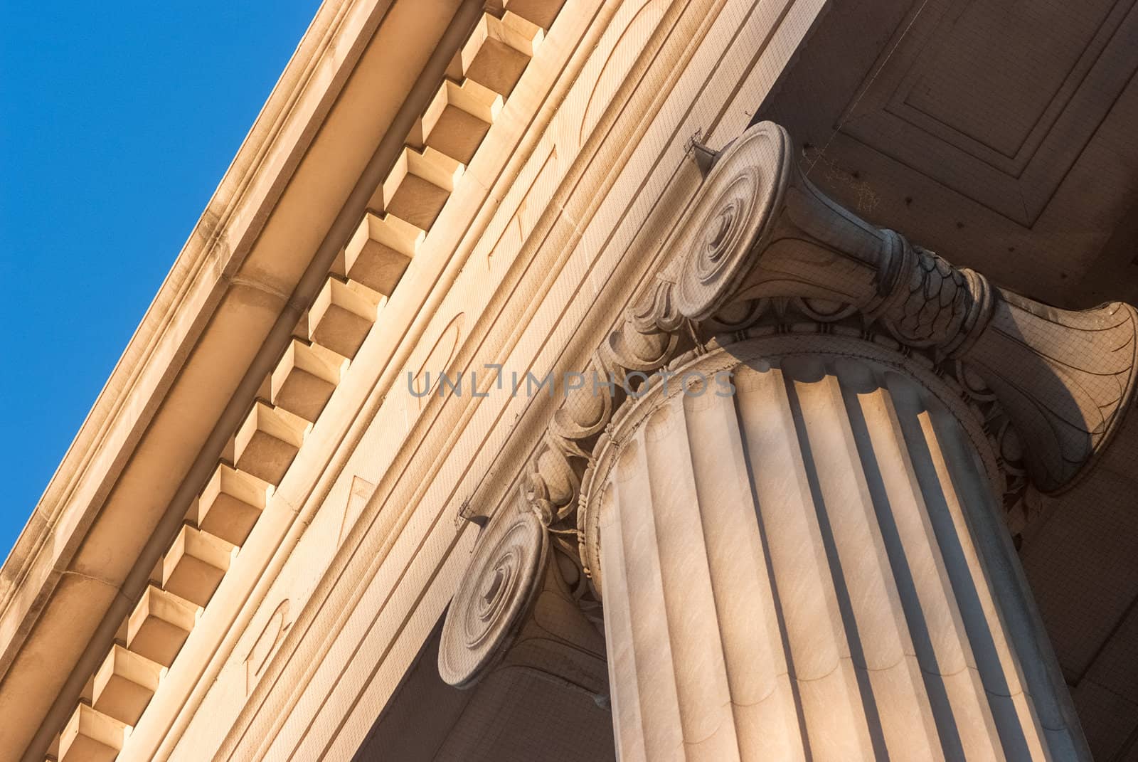 Ionic column top at sunset with blue sky