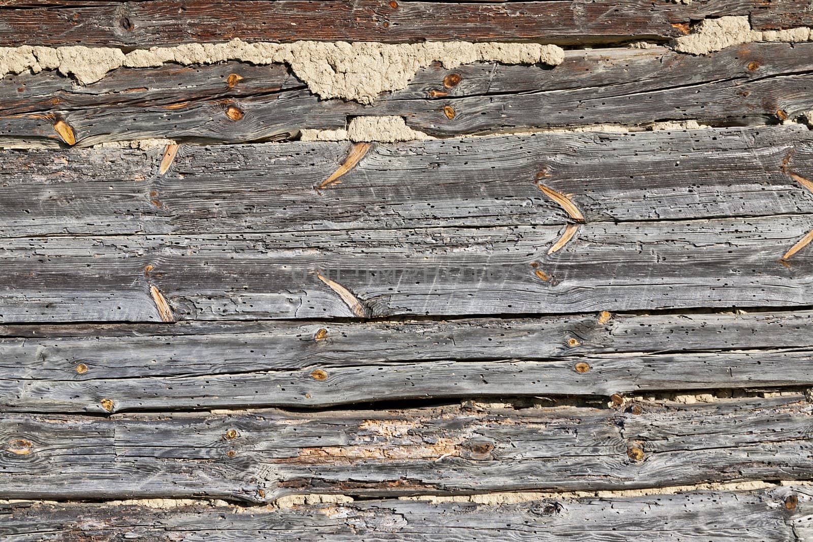 Detail of the outside wall of an old woodhouse