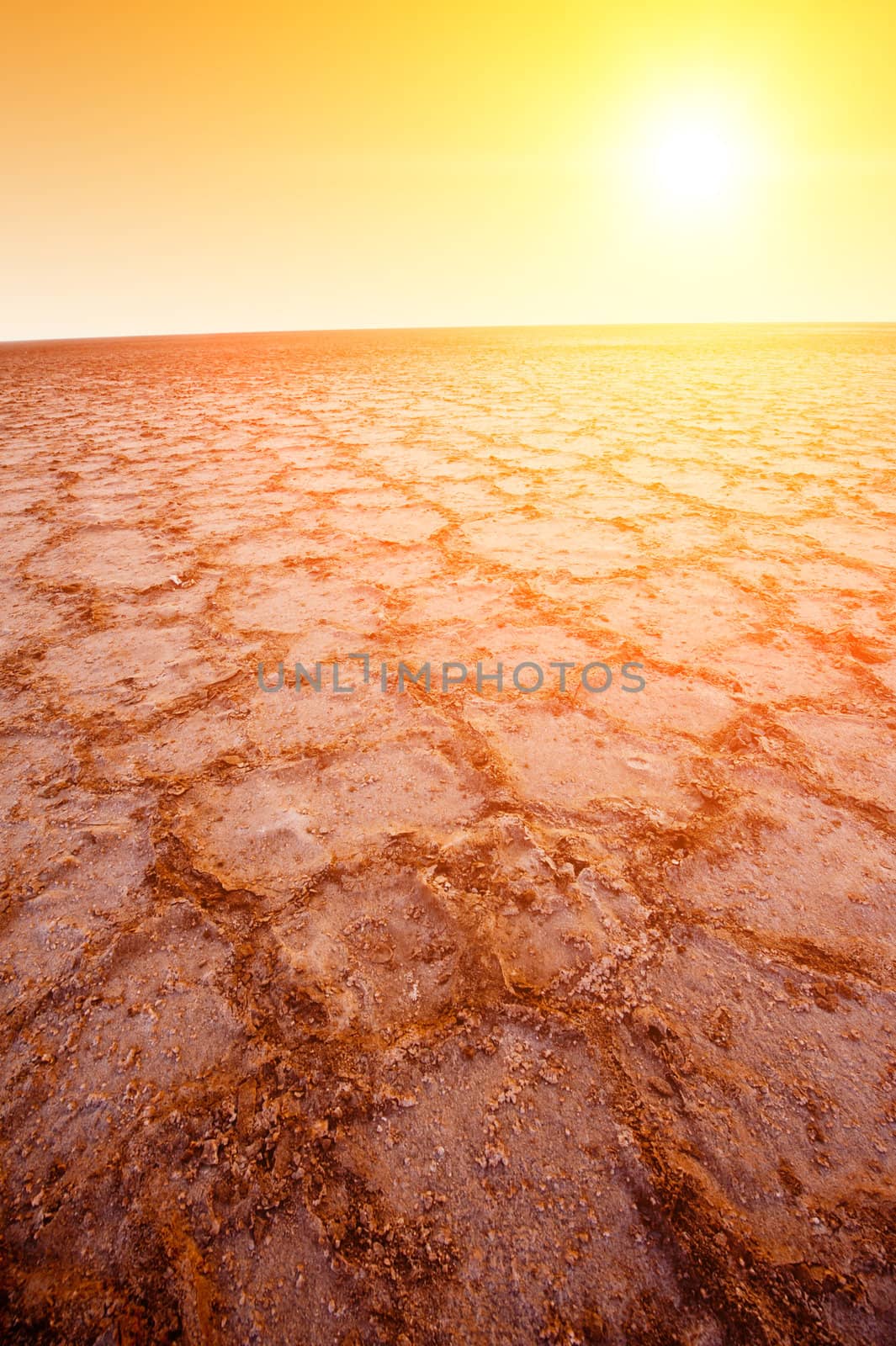 Beautiful dramatic sunrise over great dried-up salt lake Chott el Djerid in Tunisia
