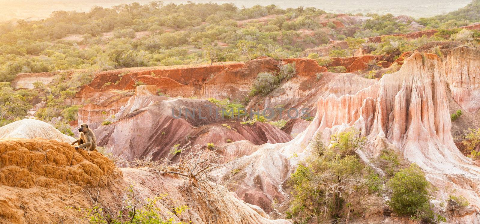 Wonderful orange colors at sunset in Marafa Canyon - also said The Hell's Kitchen. Malindi region, Kenya