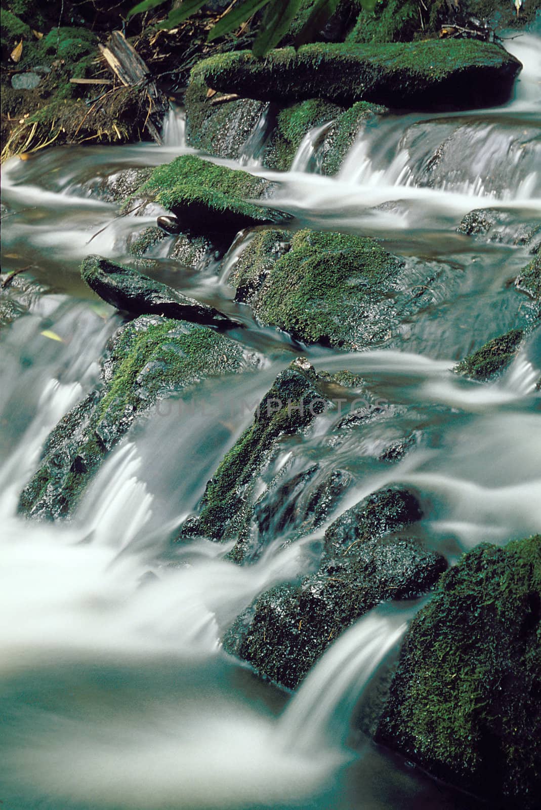 Mountain stream flowing over moss covered rocks, blurred water