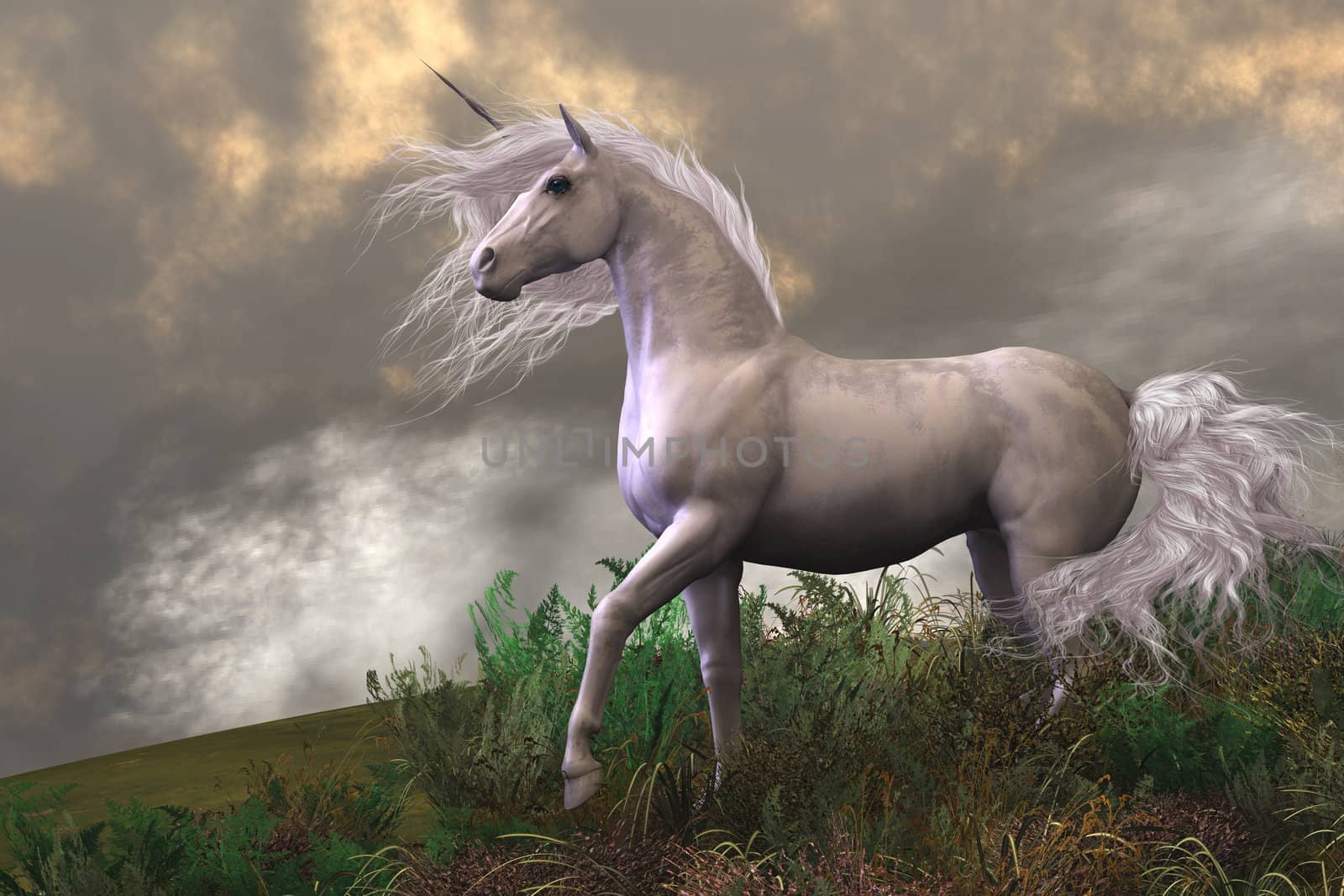 White Unicorn Stallion by Catmando