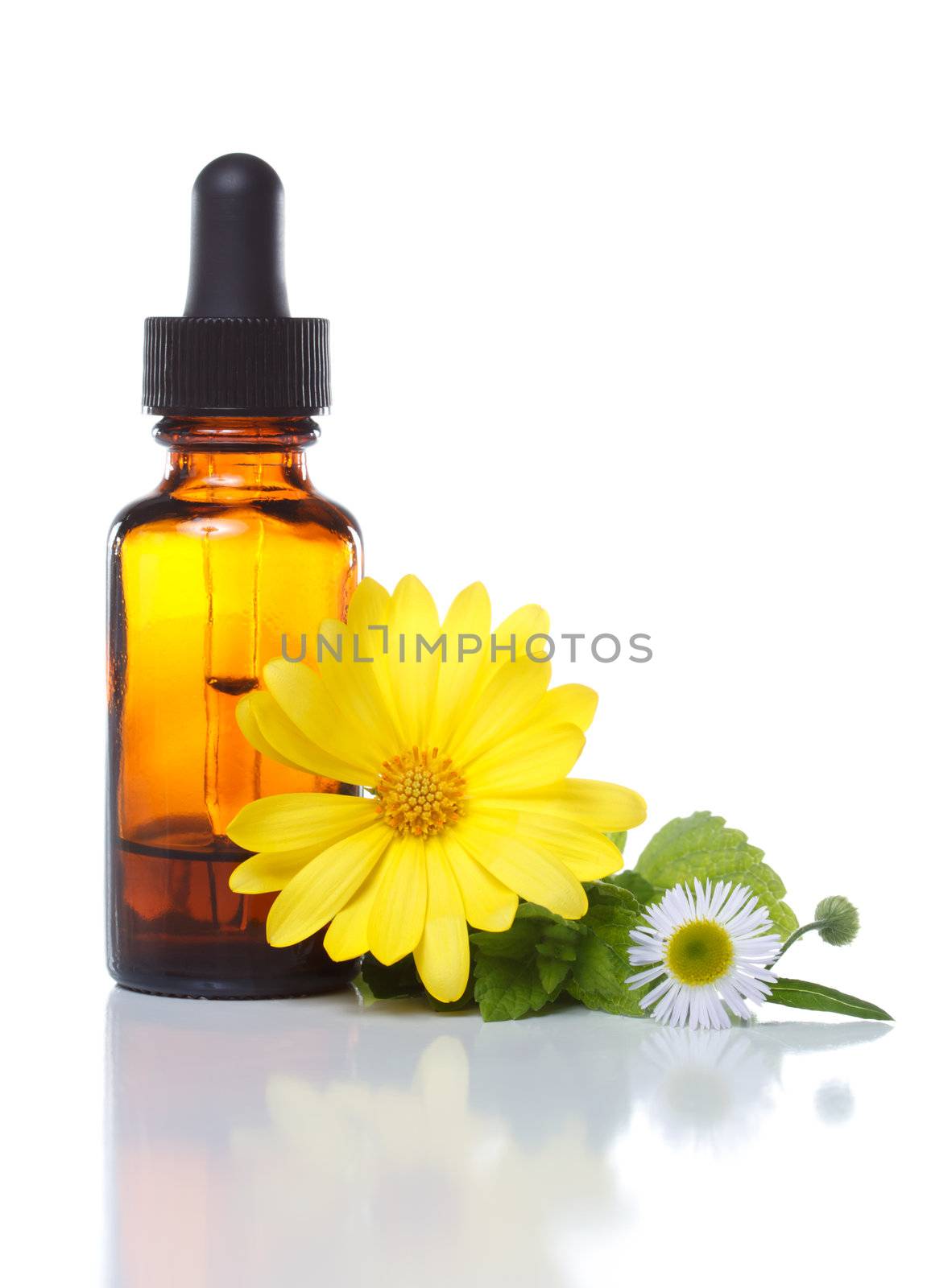 Herbal medicine dropper bottle with flowers