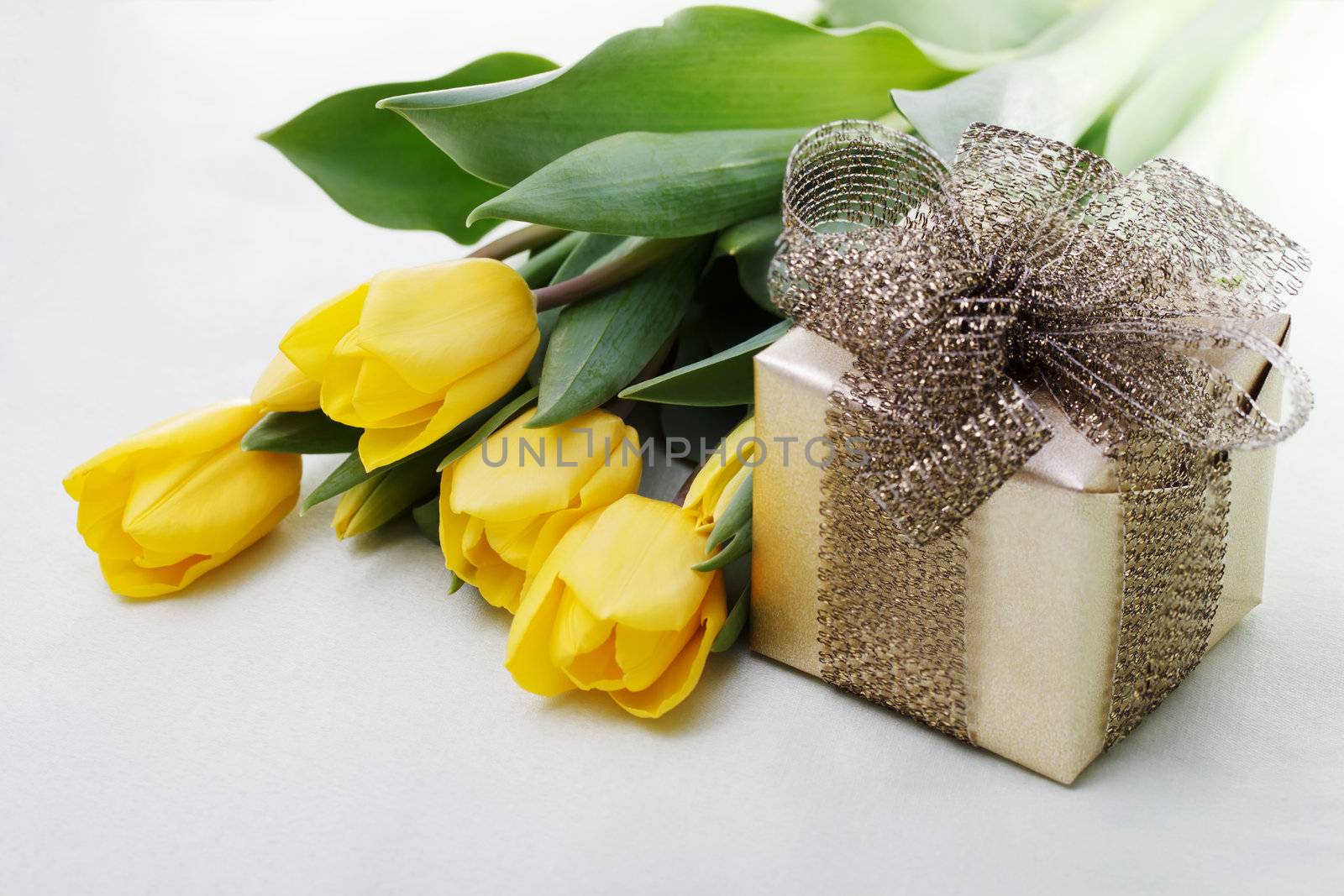 Tulips and Giftbox Isolated on White