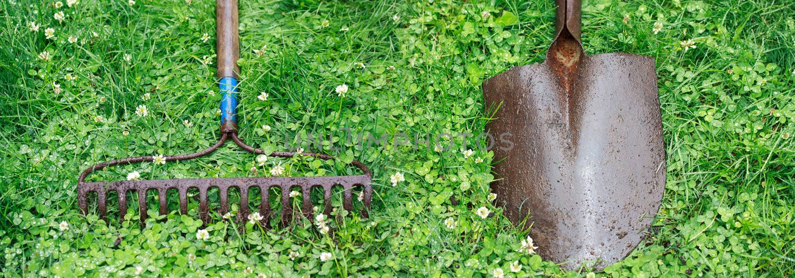 Metal Garden Rake and Shovel on top of Lawn