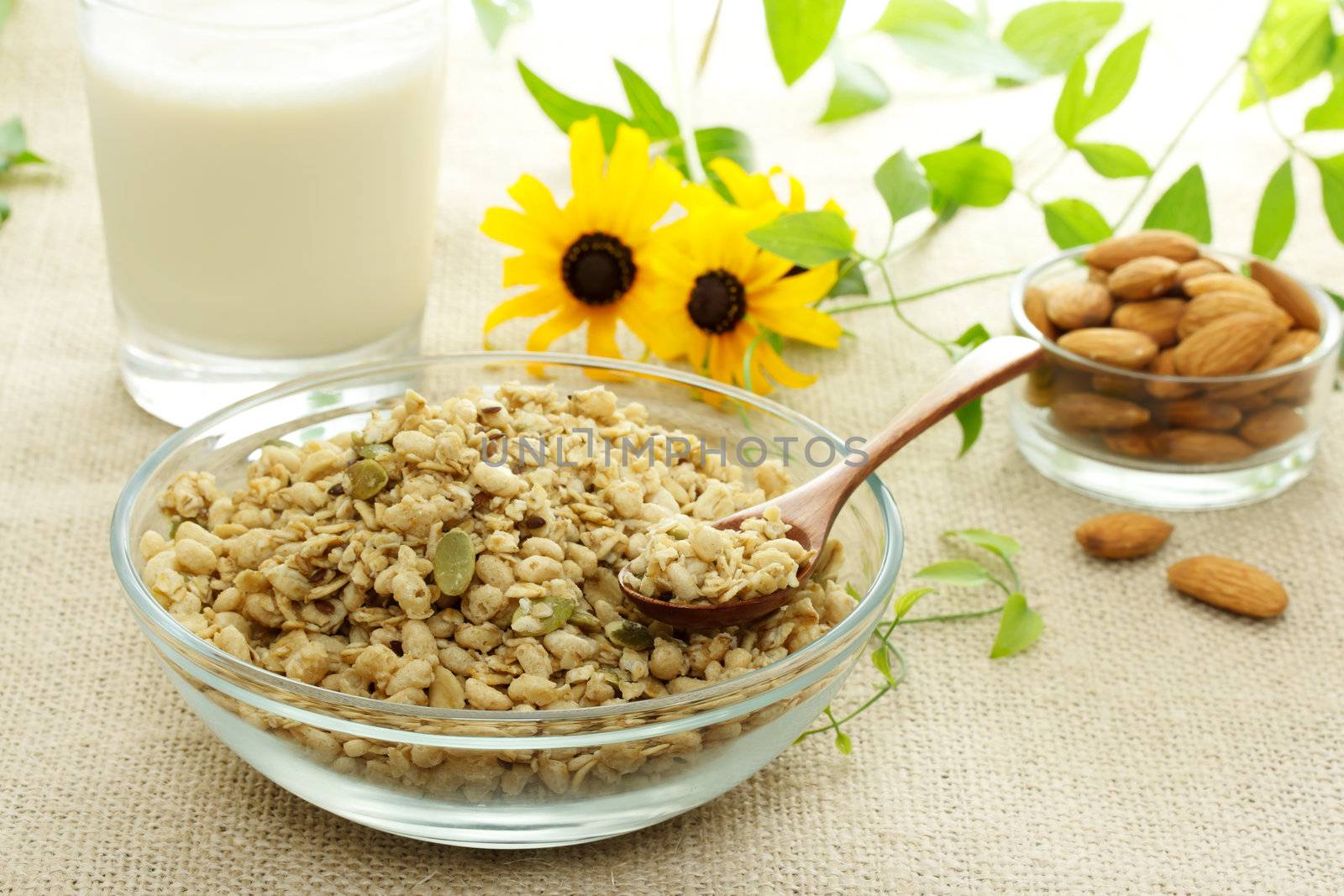 Whole grain cereal with milk and almonds