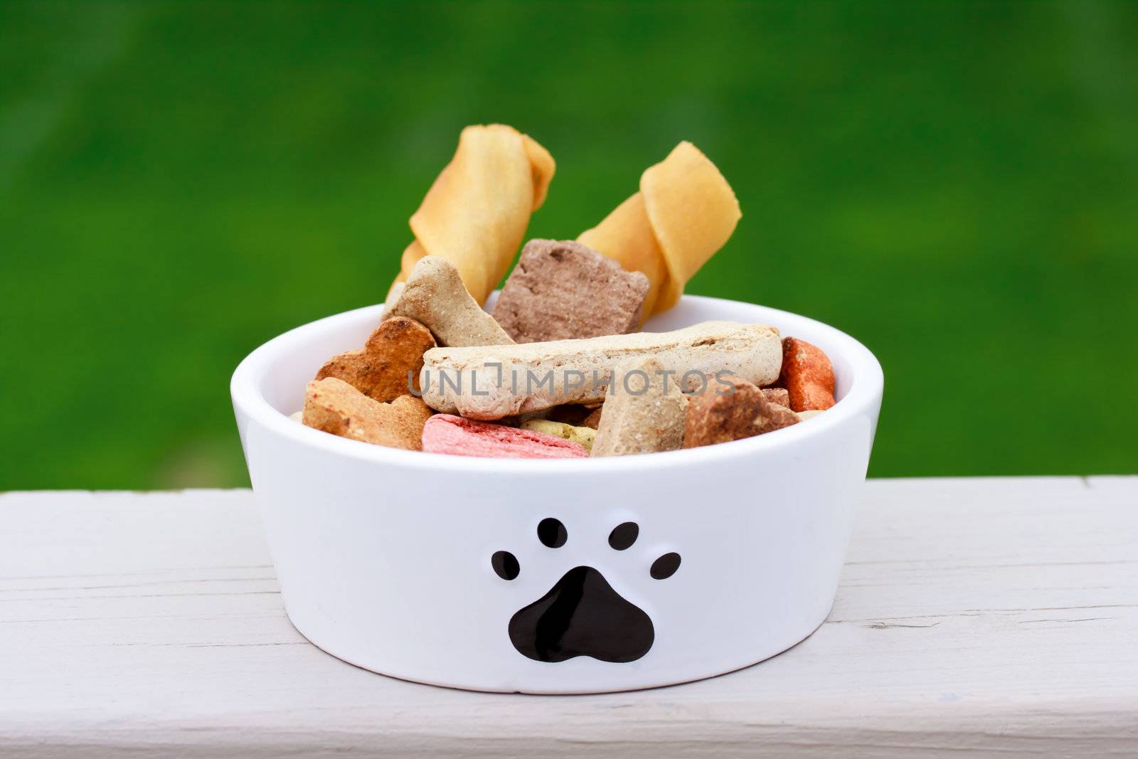 Dog food a in dog bowl 