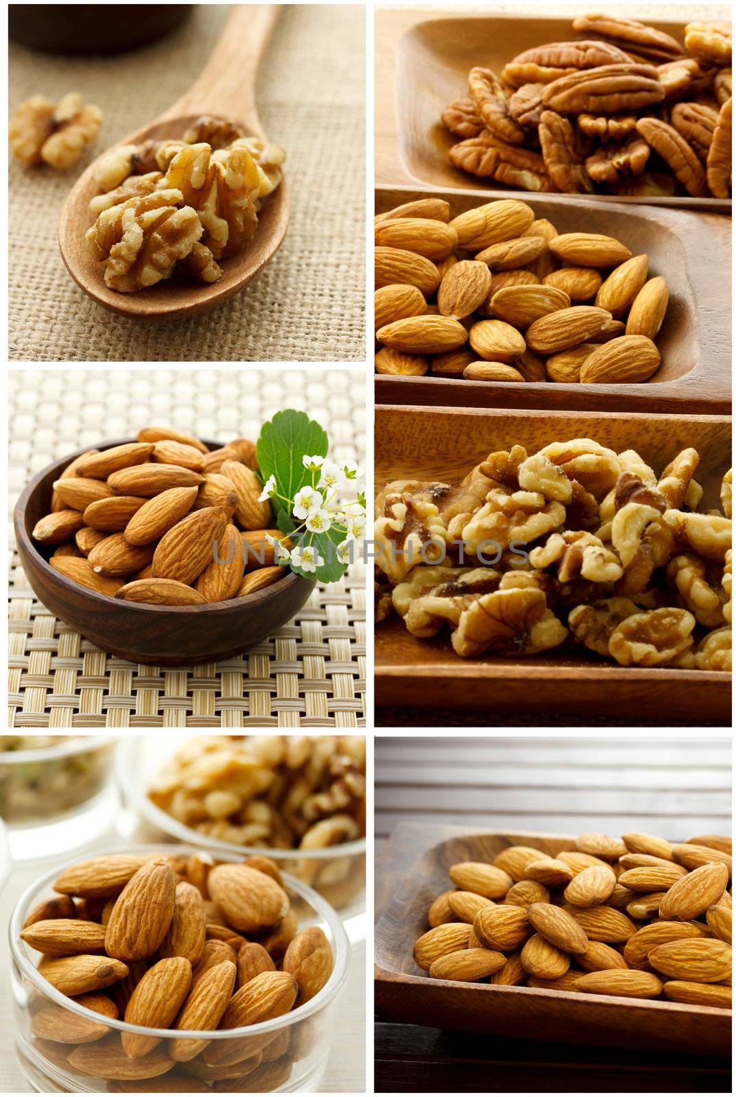 Collage of Nuts (Almonds, Walnuts, Pecans)