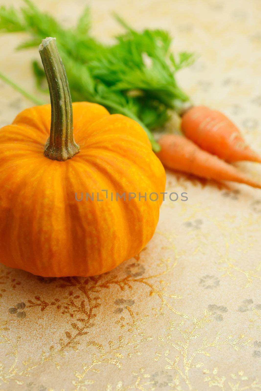 Orange miniature pumpkin with carrots