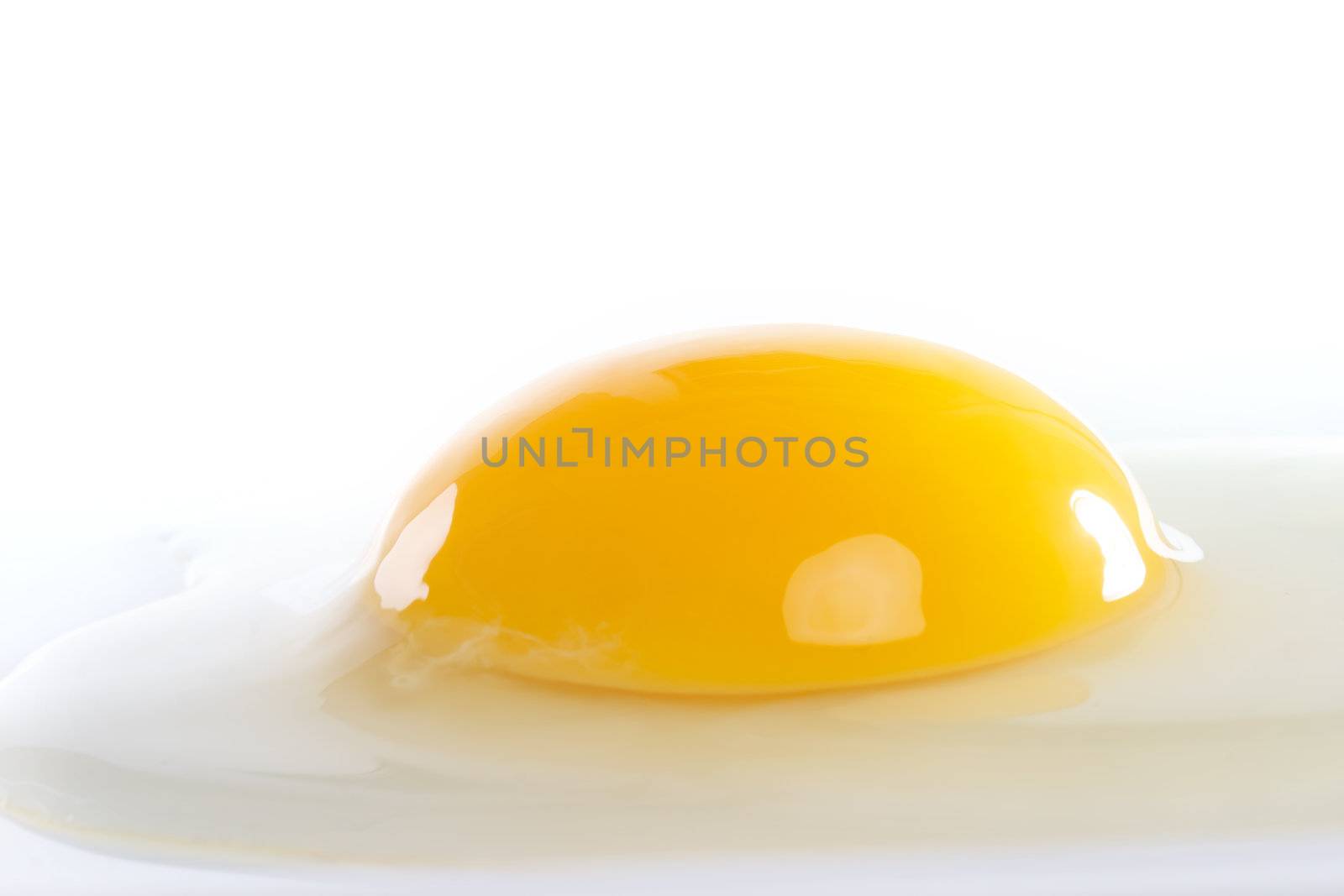 Egg Isolated by melpomene