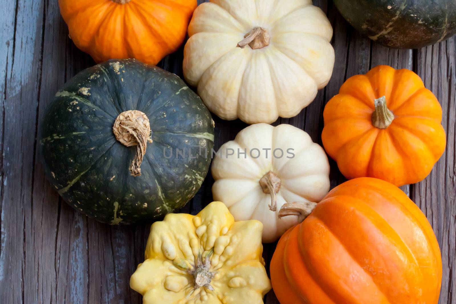 Autumn pumpkins  on wooden board