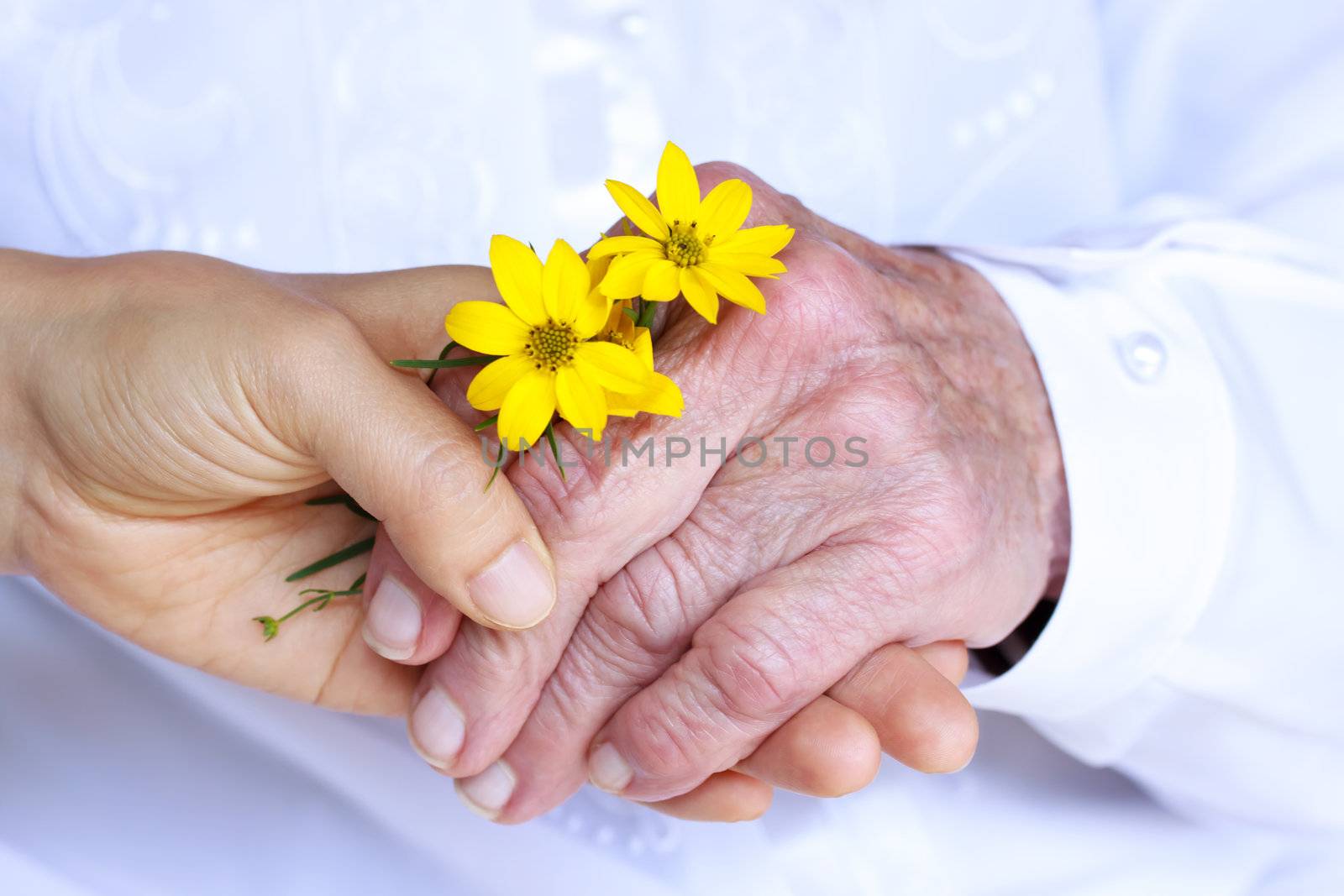 Seninor Lady and Young Woman Holding Hands - Giving Flowers (Friendship, Care, Service)