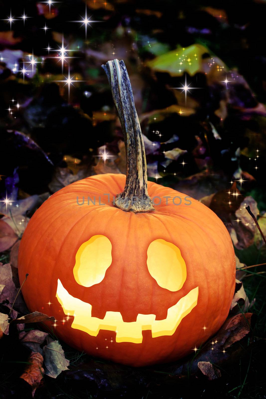 Halloween pumpkins by melpomene