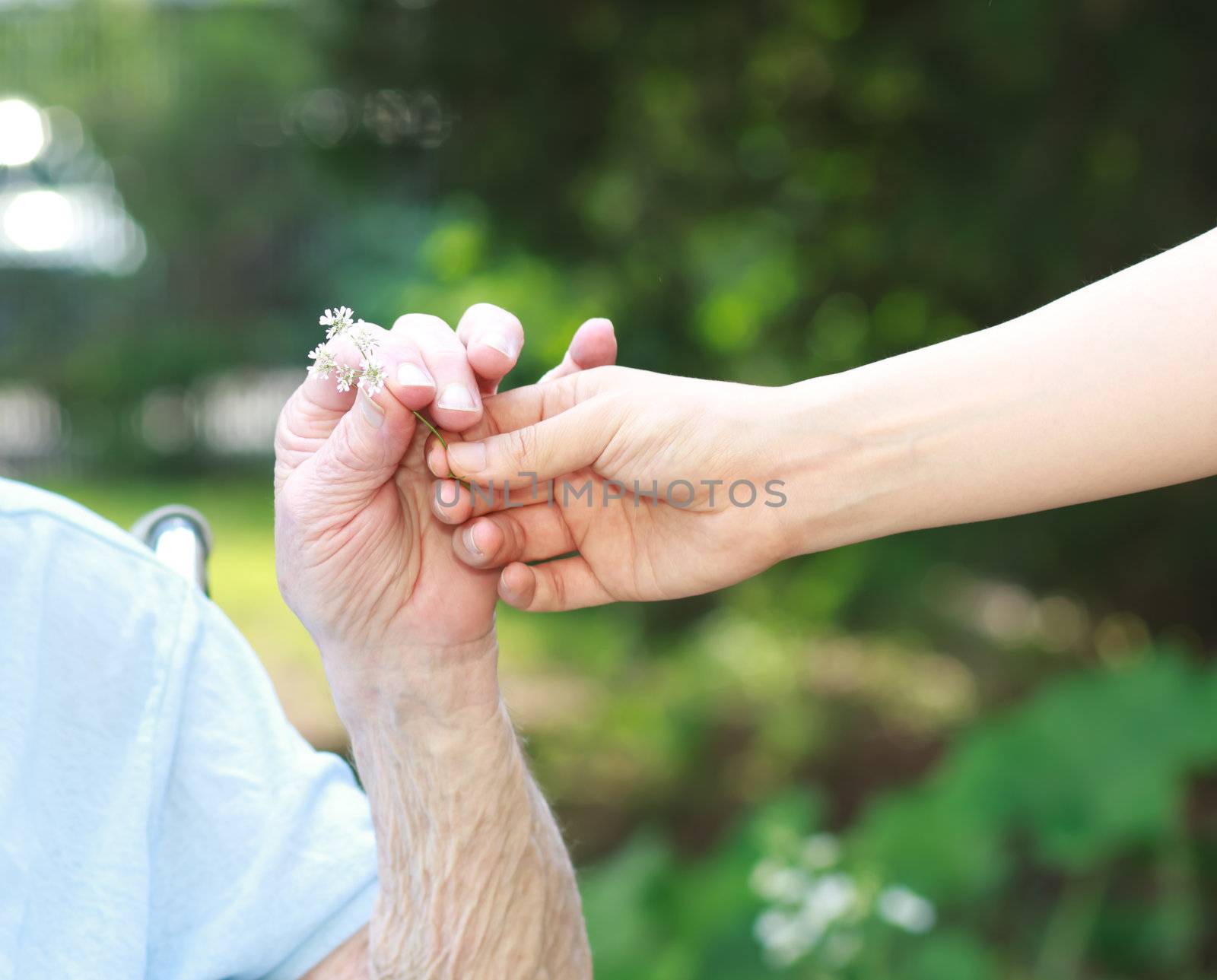 Giving a white flower to senior lady outside
