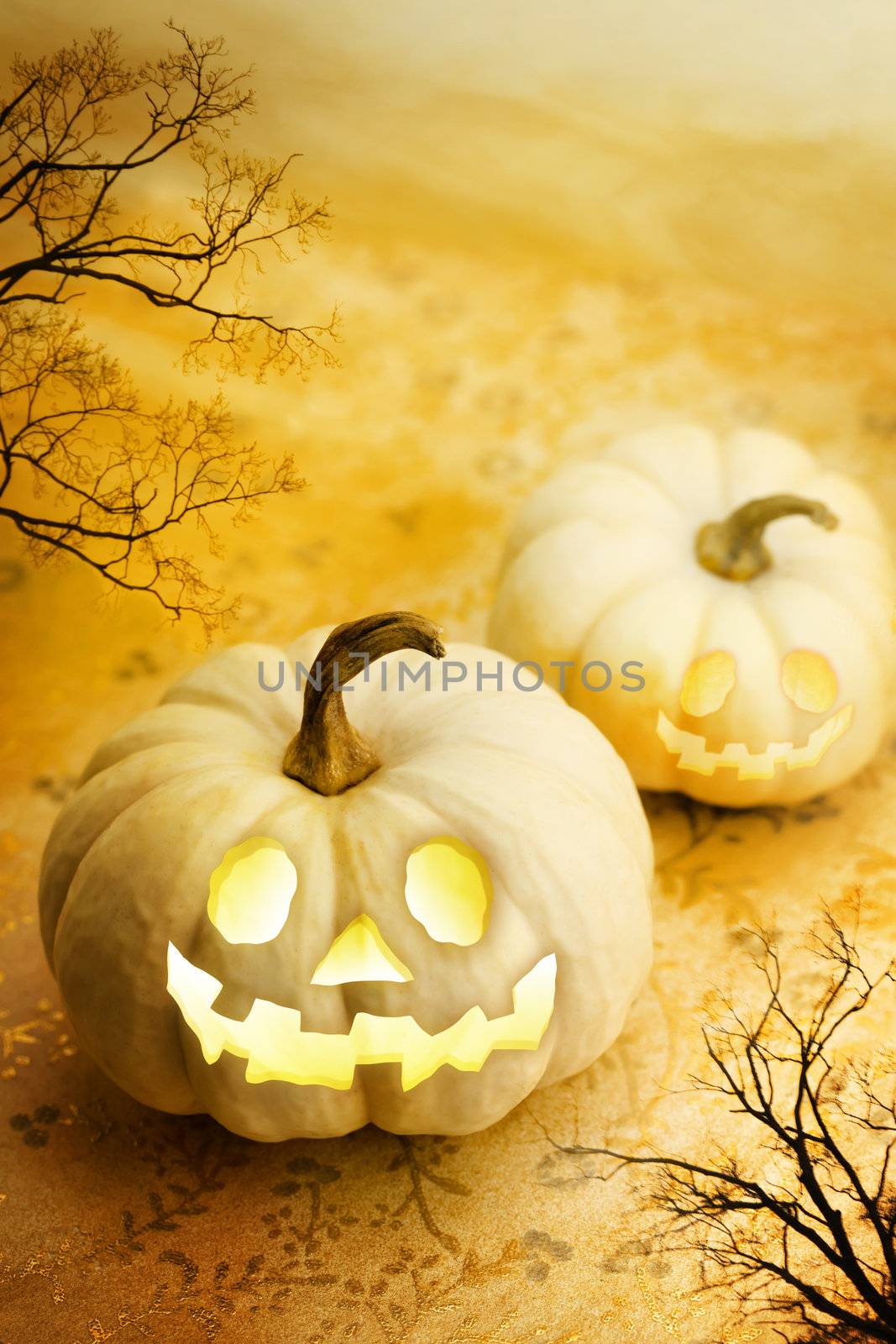 Jack O Lanterns with Autumn Trees  