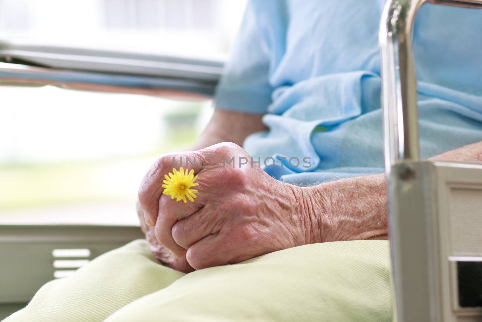 Senior Woman Sitting in a Wheelchair Holding a Flower