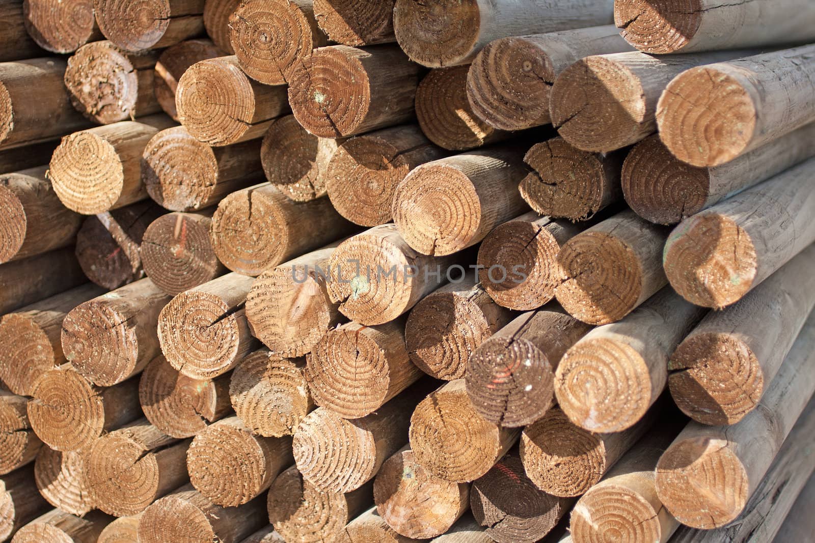 wood logs on a pile outside stacked