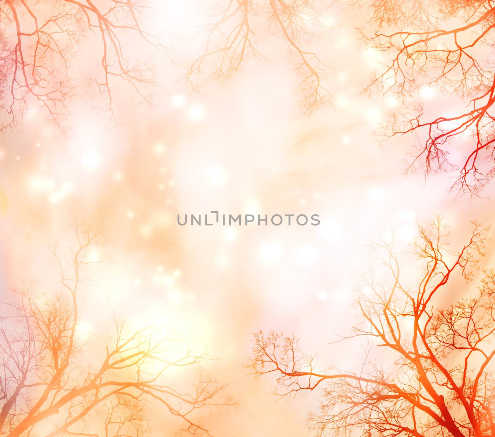 Abstract Background with Tree Border  by melpomene