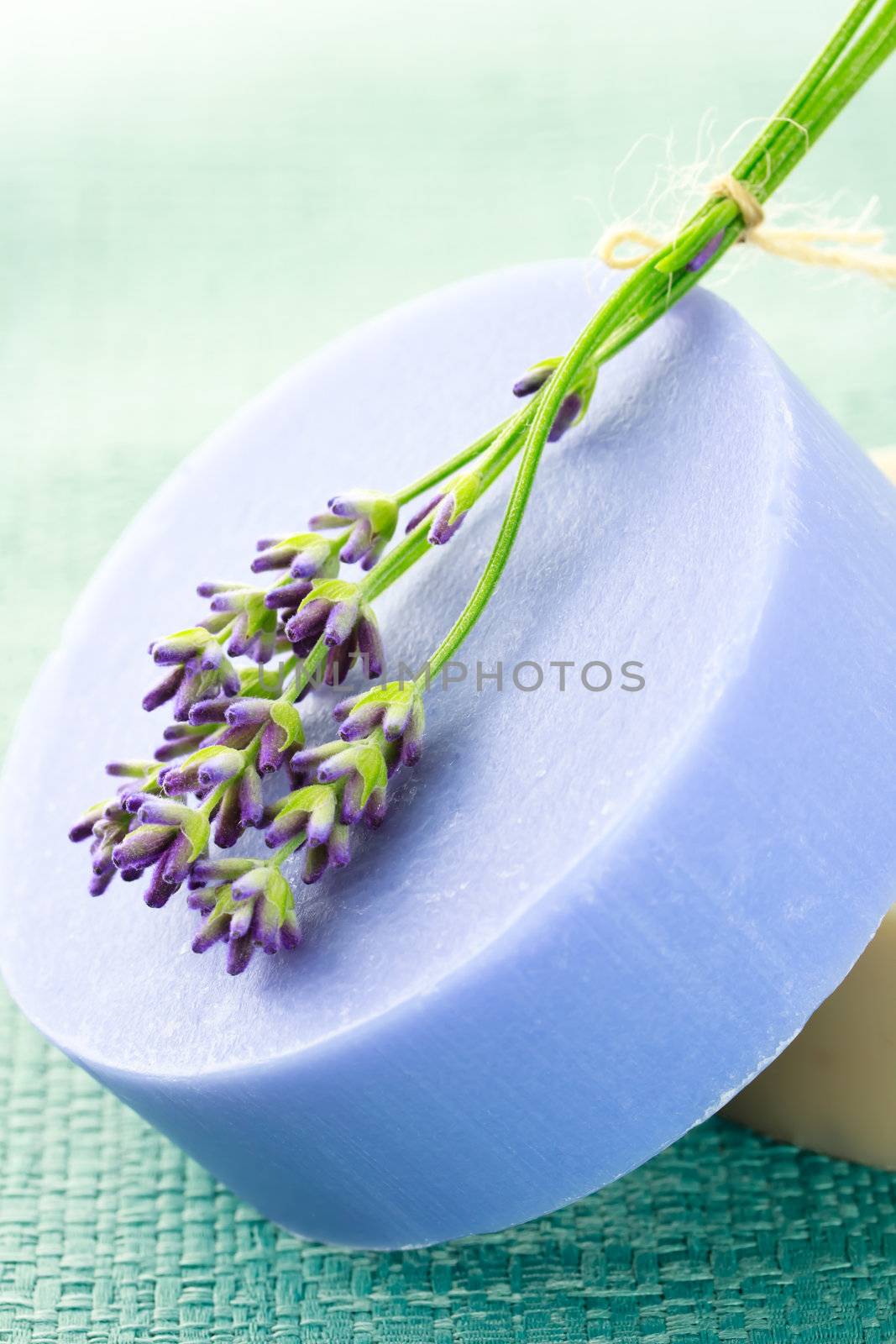 Bar of handmade soap with fresh lavenders