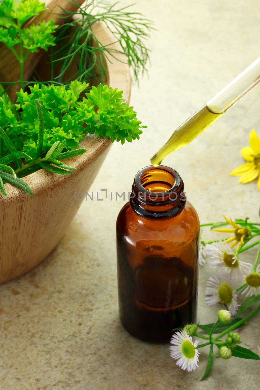 Herbal medicine with dropper bottle and wild flowers