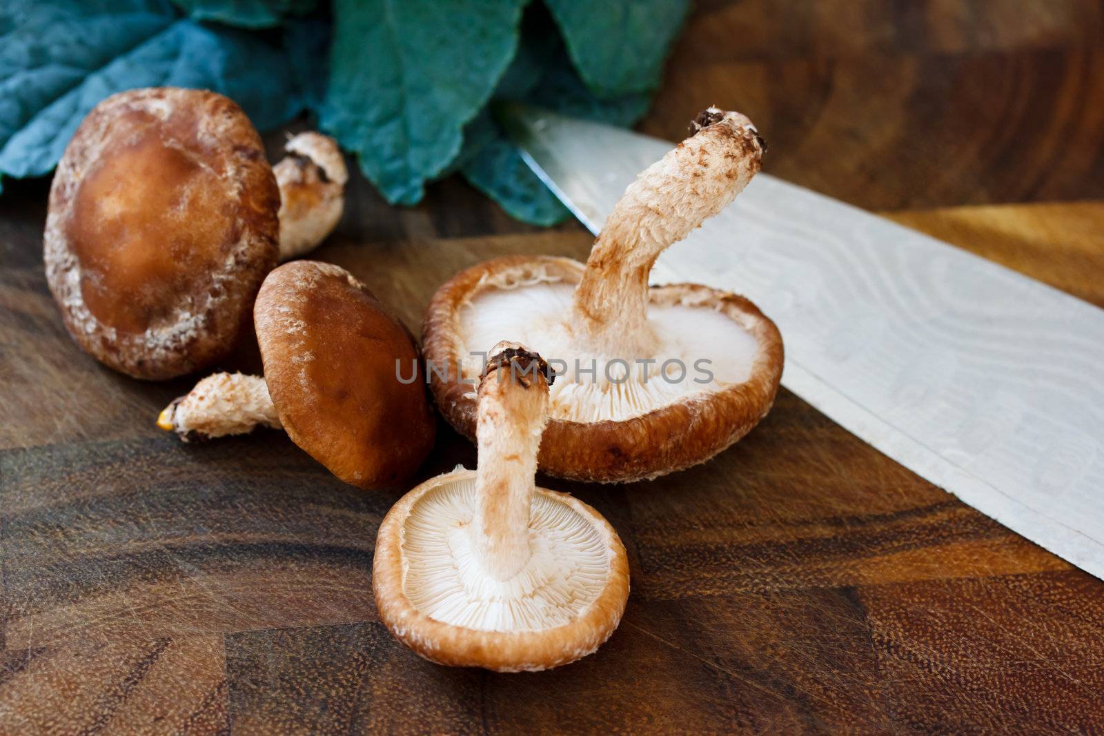 Mushrooms and kale with a knife on wooden cutting board