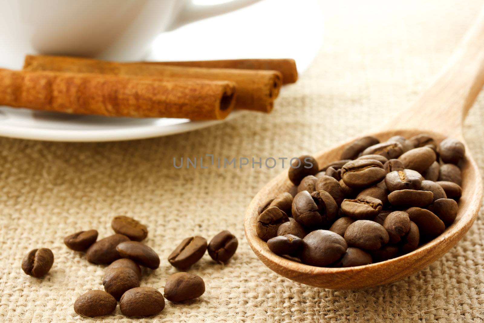Coffee beans and cinnamon by melpomene
