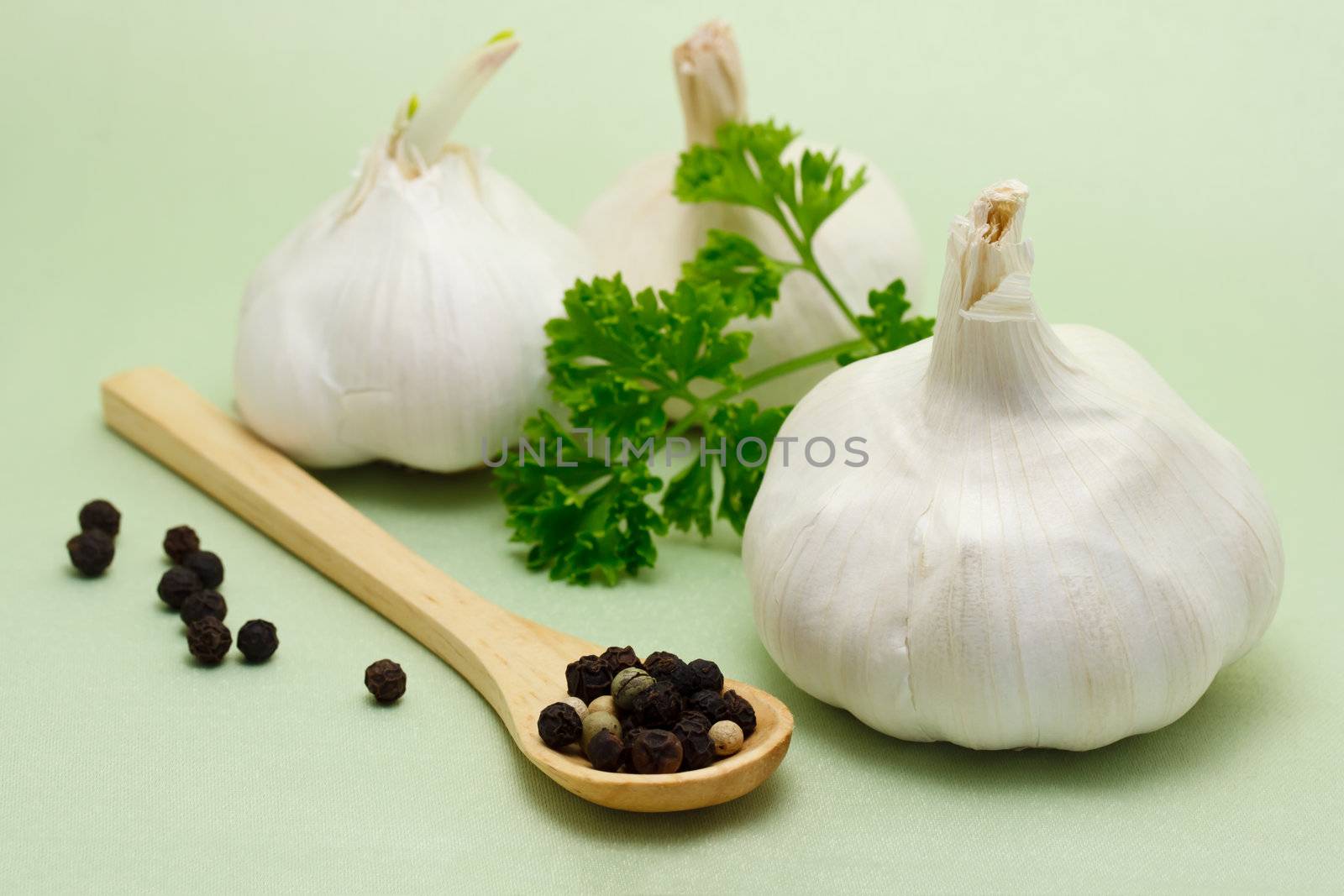 Food ingredients - Garlic by melpomene