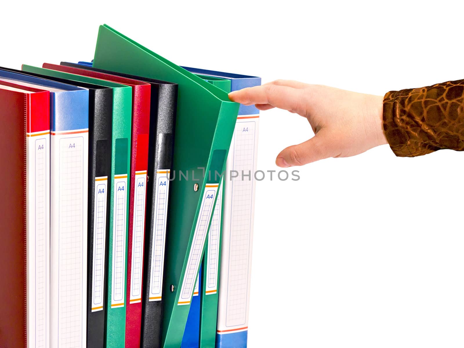 office document folders standing in a row  isolated on white background