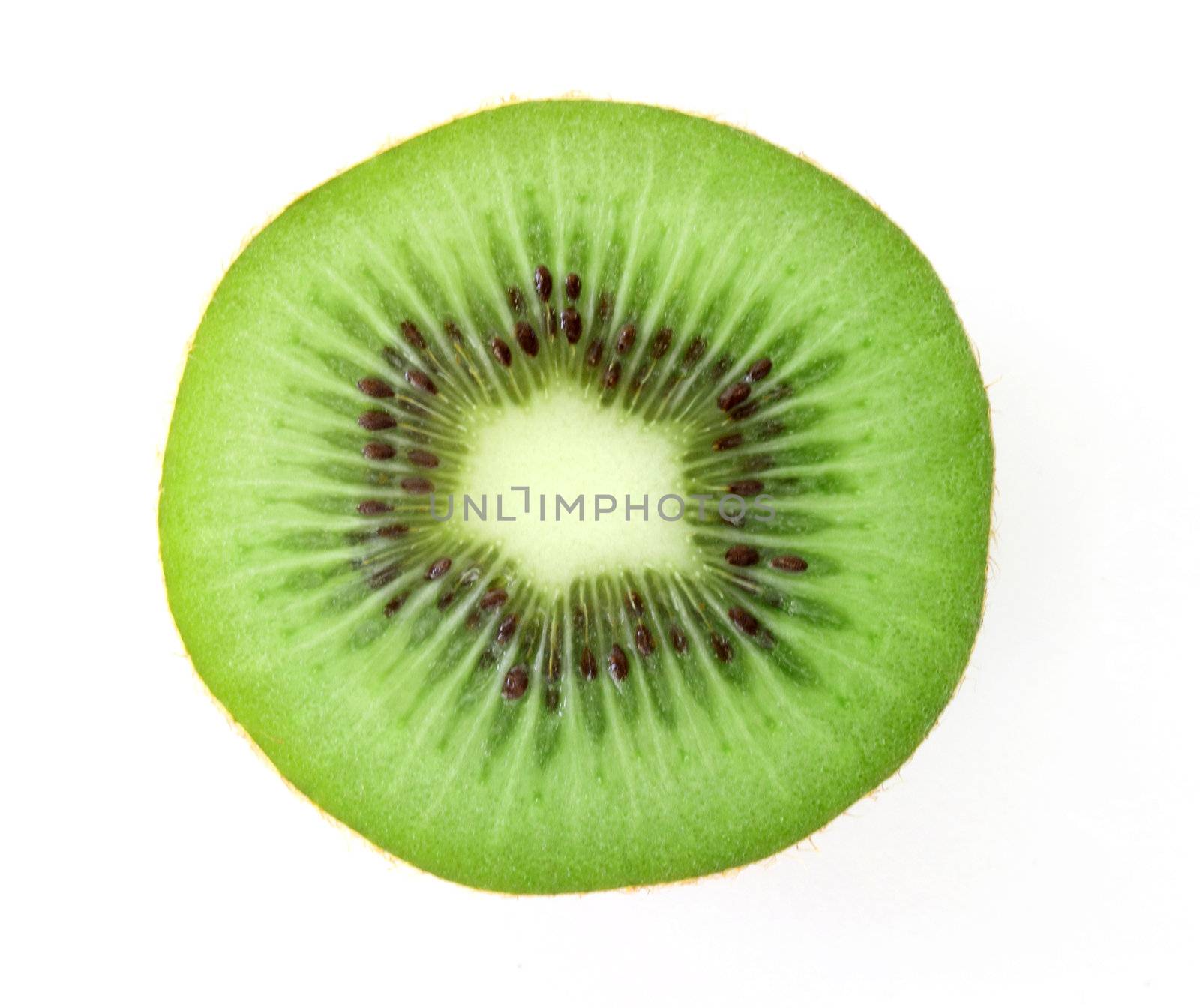 Kiwi fruit on white background