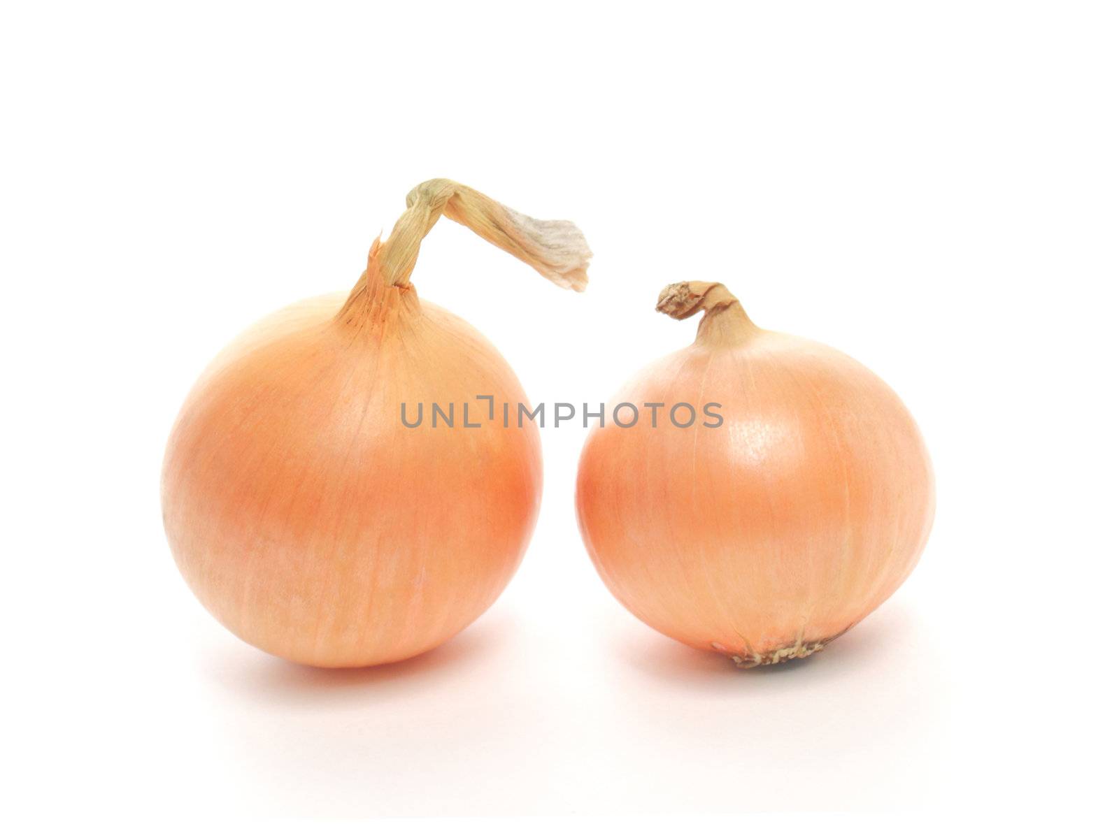 Two onions isolated on white background