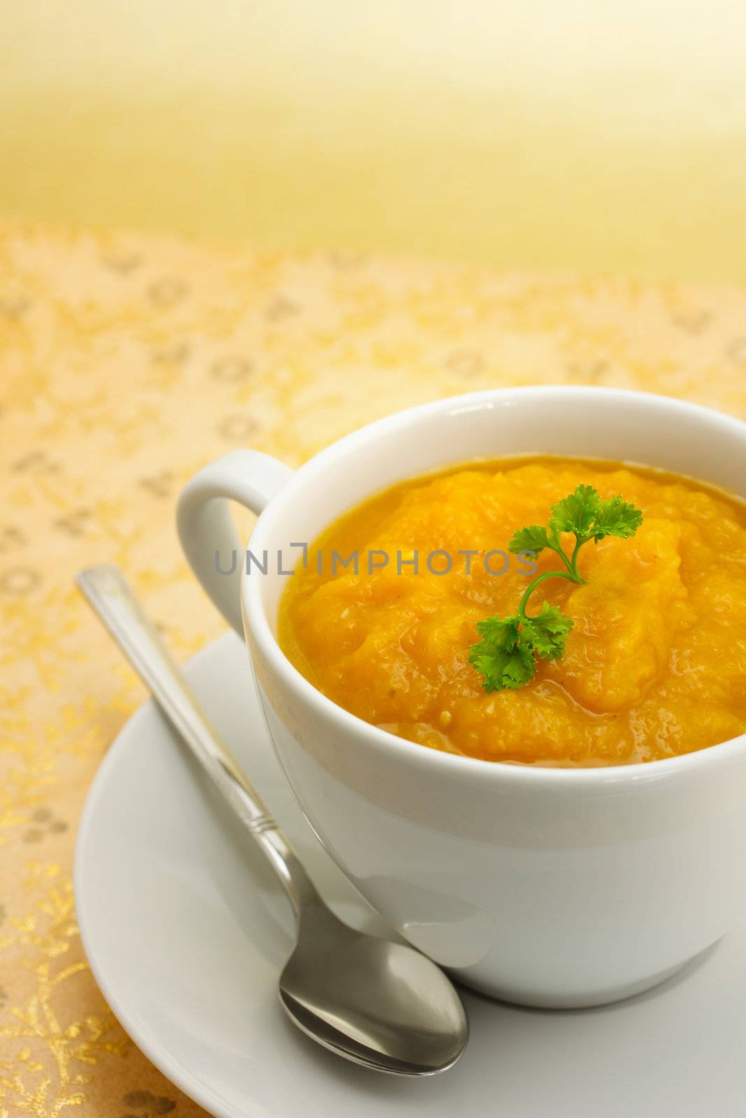 Pumpkin soup on gold background