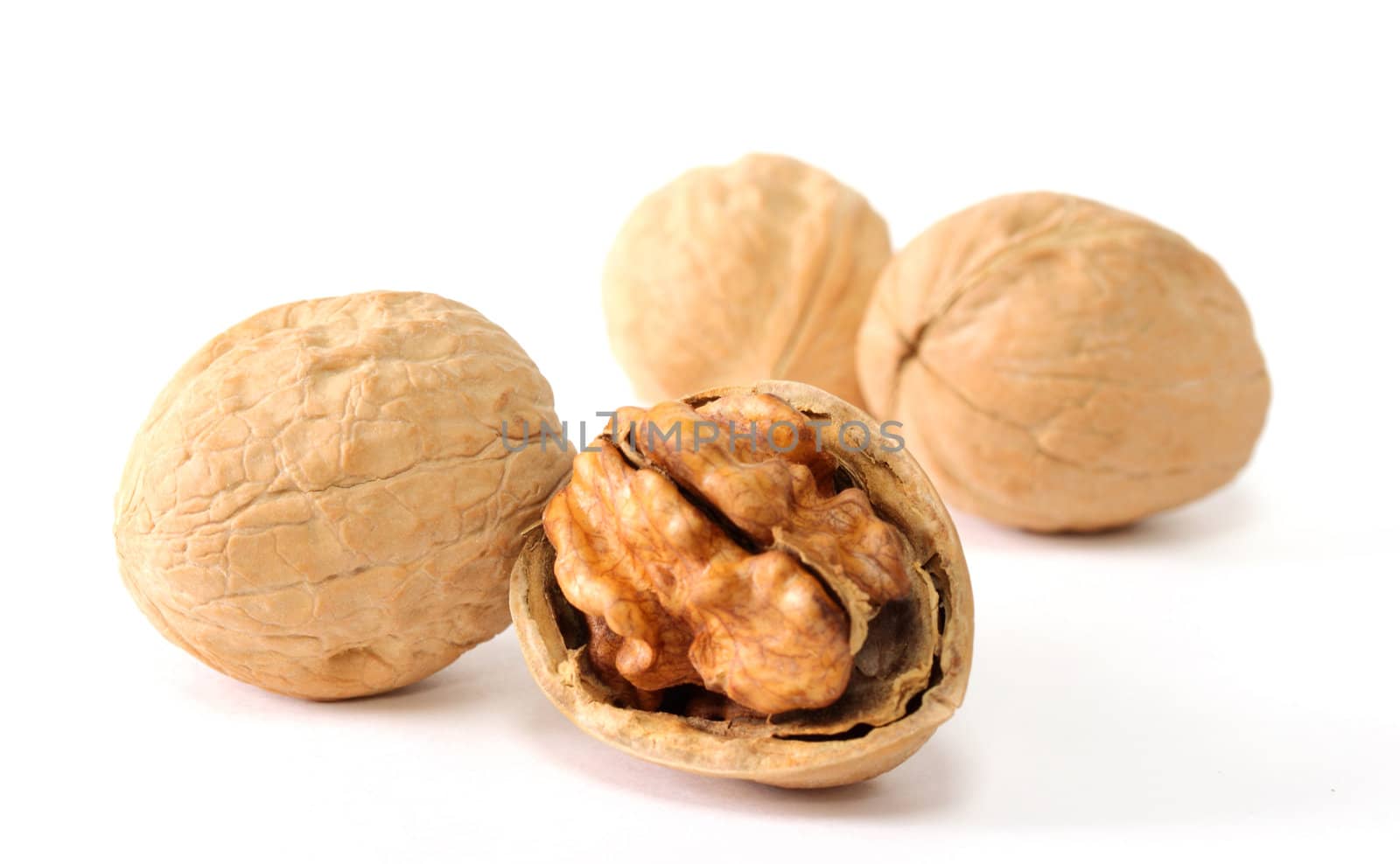 Walnuts in shells  by melpomene
