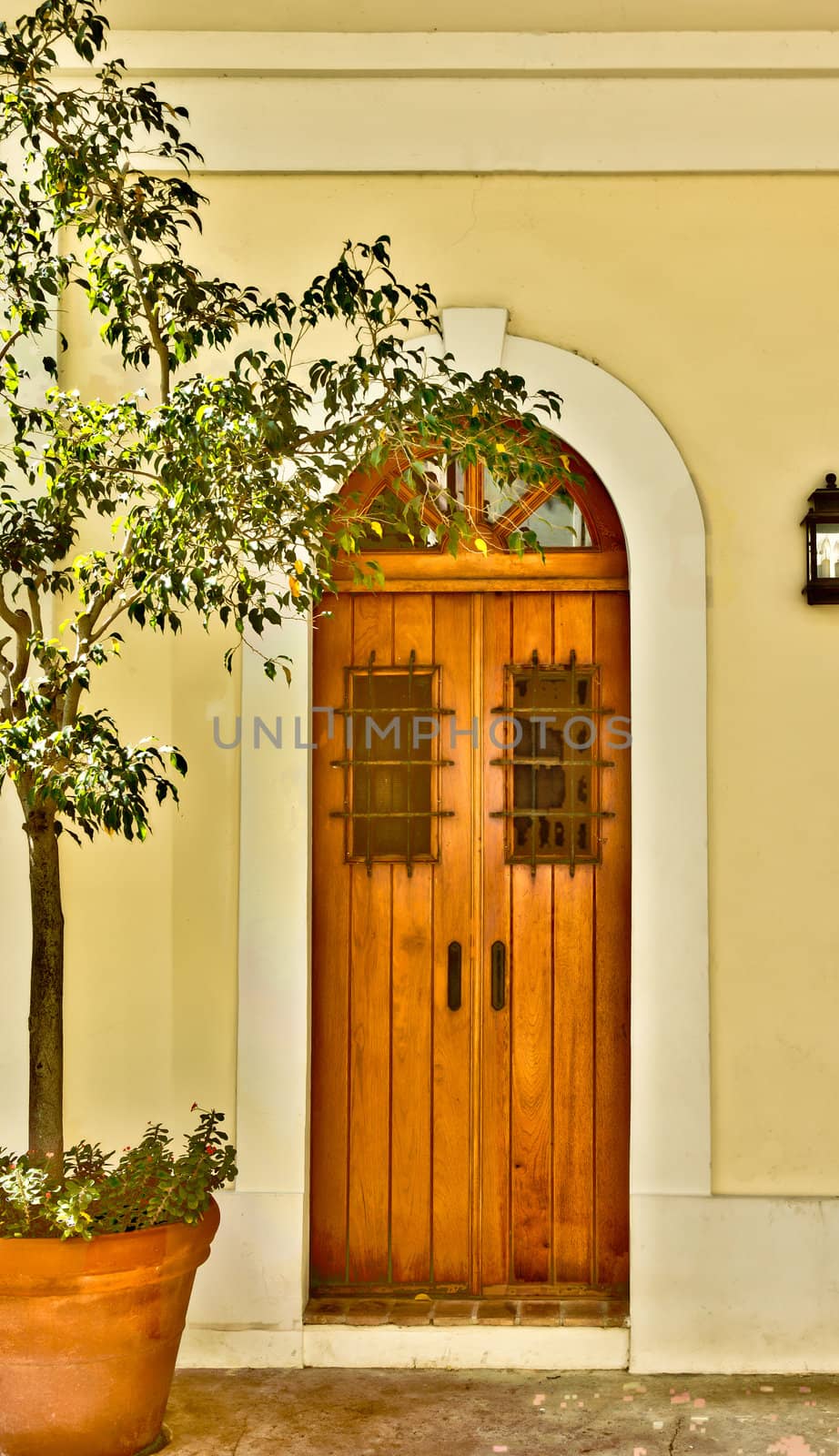 Arched doorway with ornate door and iron bars