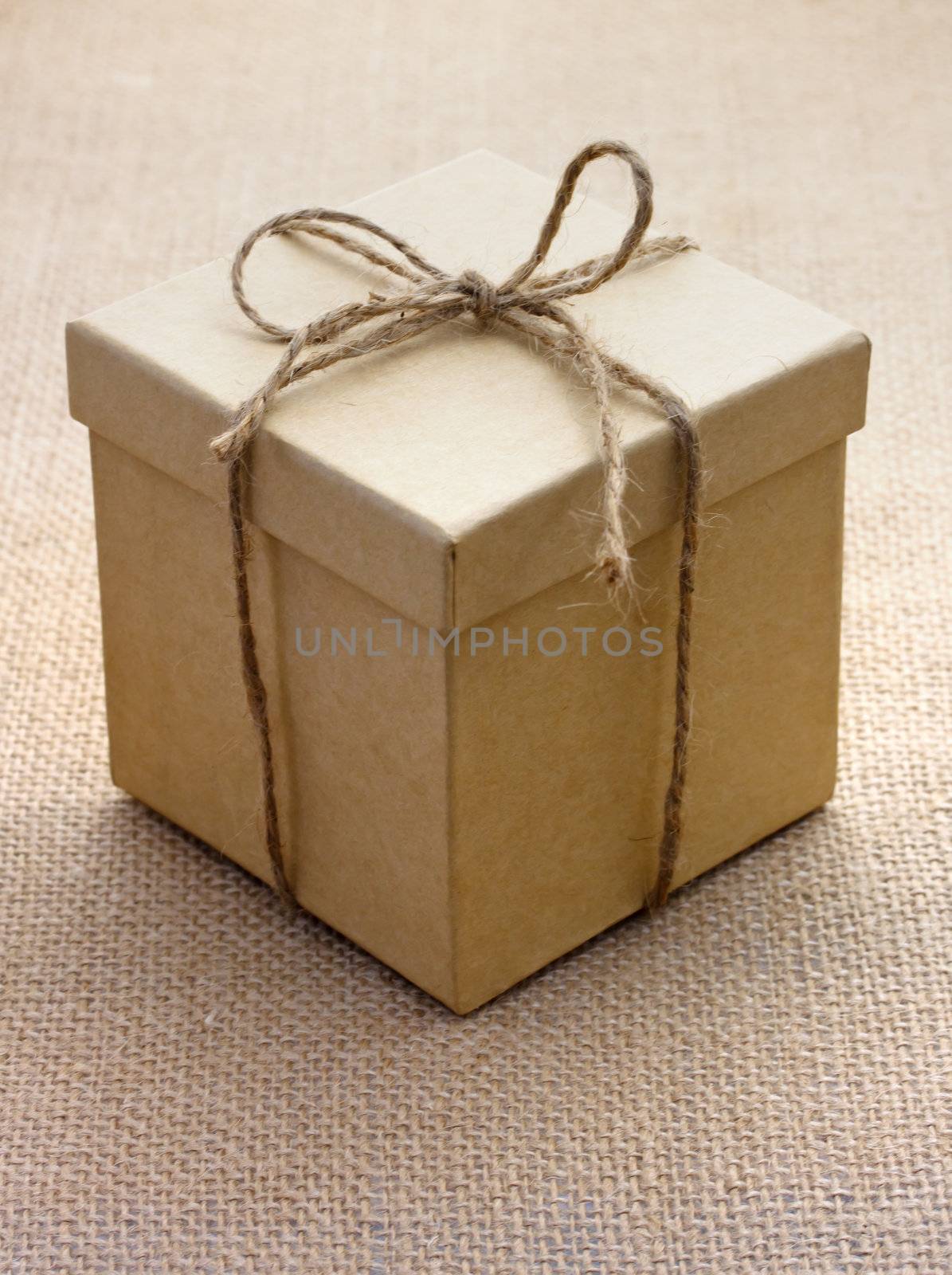 Cardboard box by melpomene
