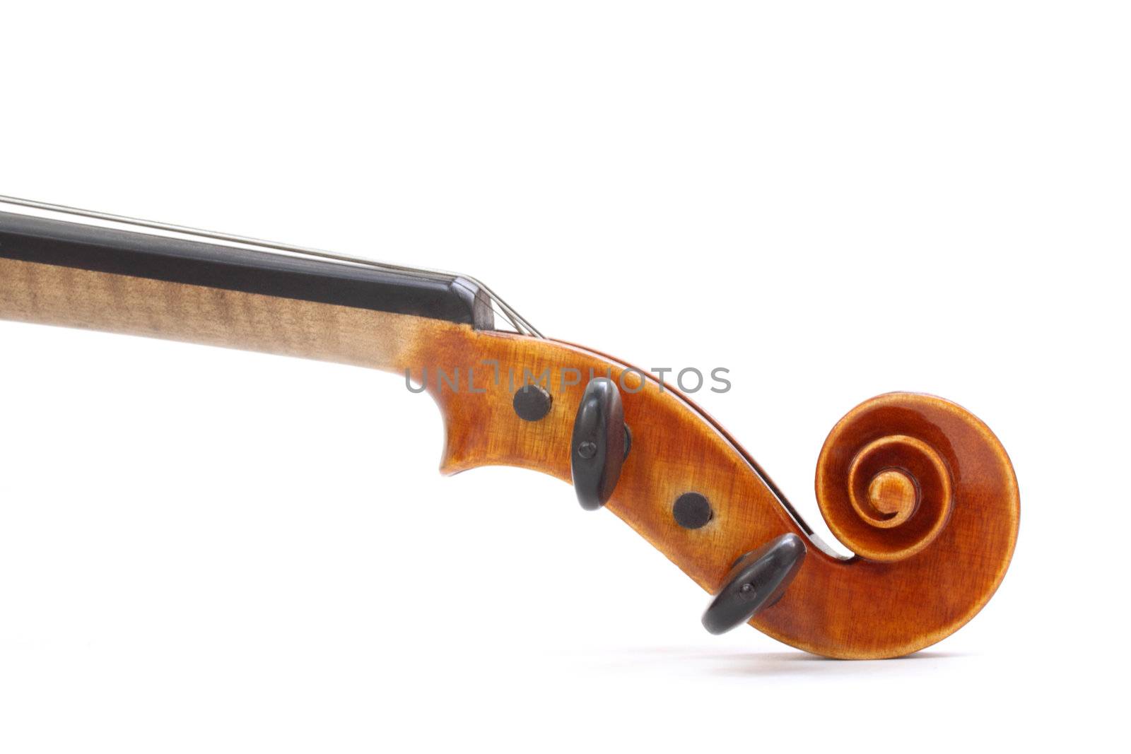 Violin scroll isolated on white background