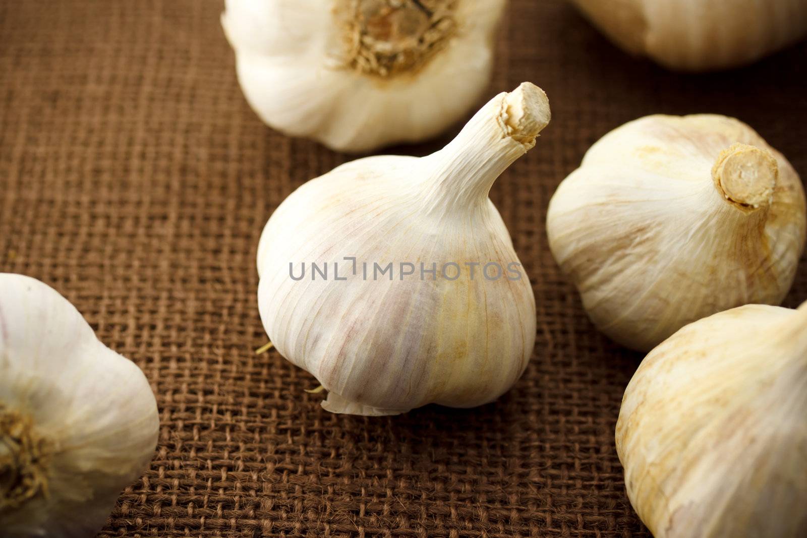 Garlic by melpomene
