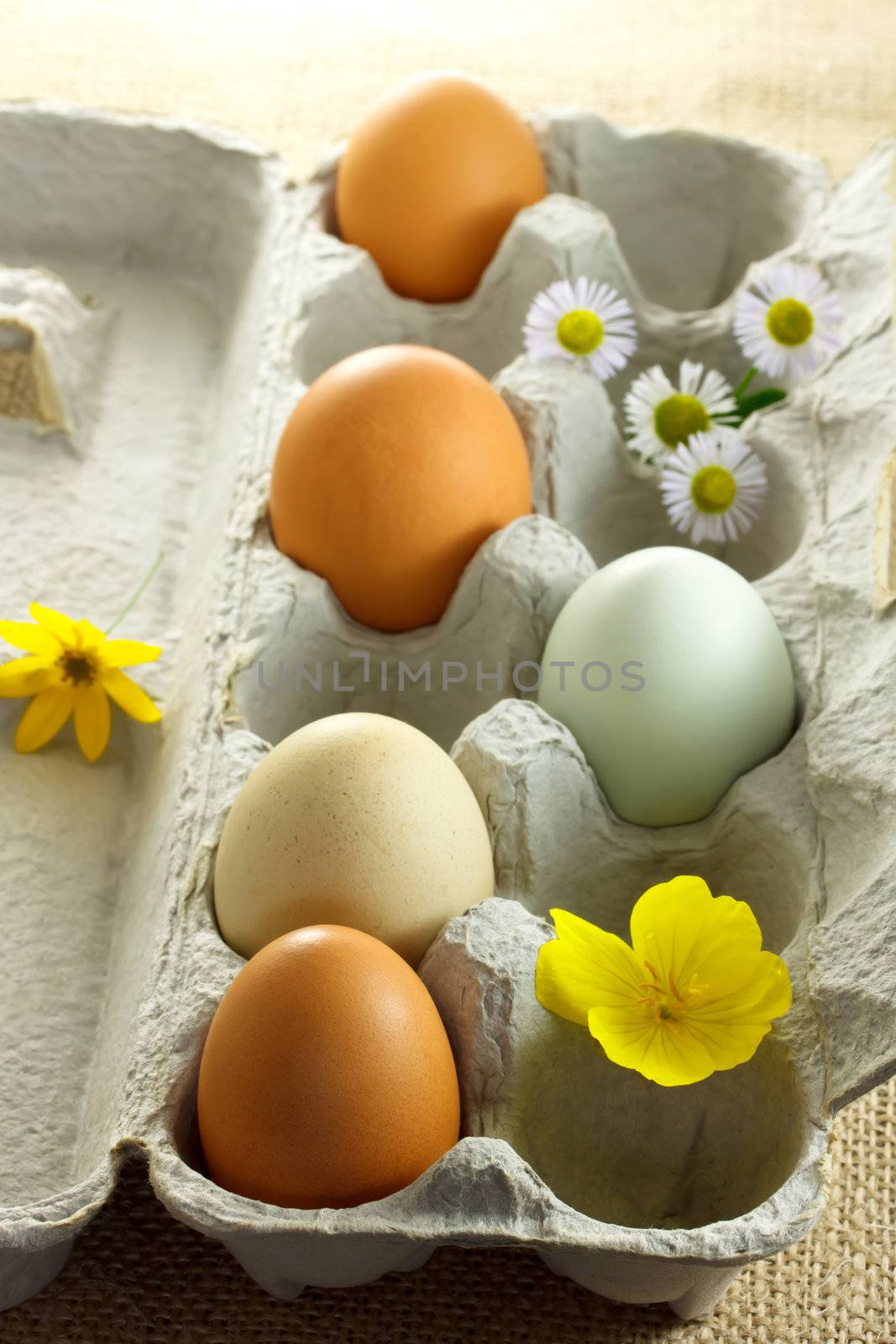 Organic colorful eggs with small flowers