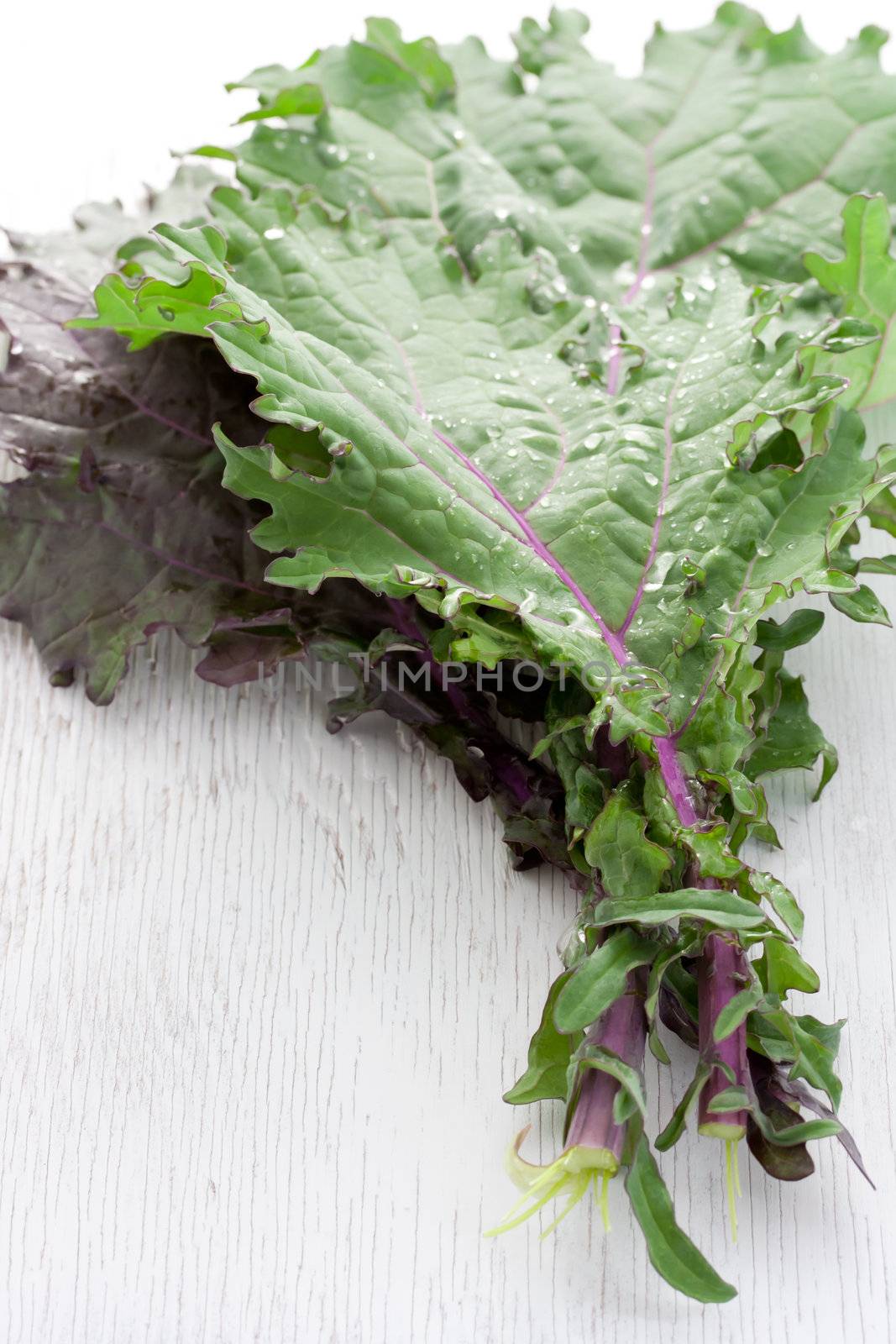Red kale on white wooden board