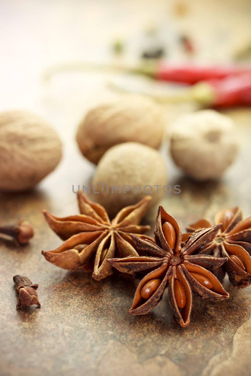 Collection of spices - star anise, nutmegs, cloves, chili peppers and corn peppers