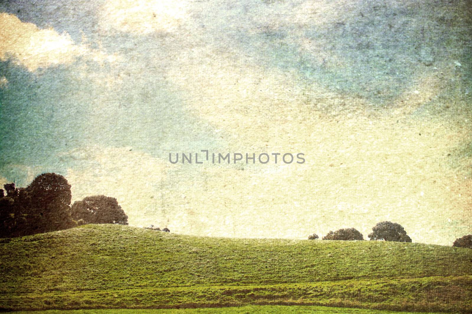 Vintage landscape with summer fields and sky