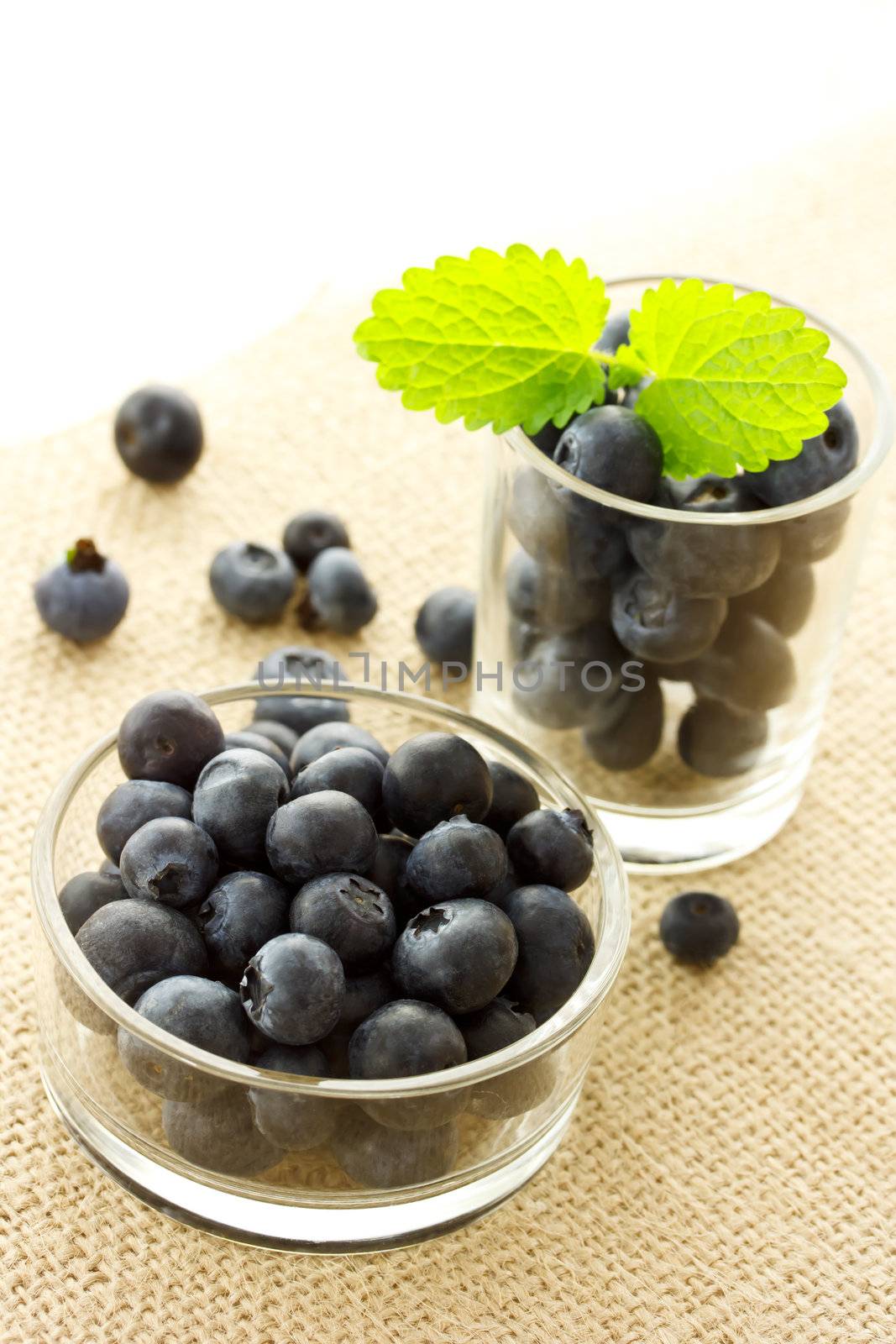 Blueberries in glass containers  by melpomene