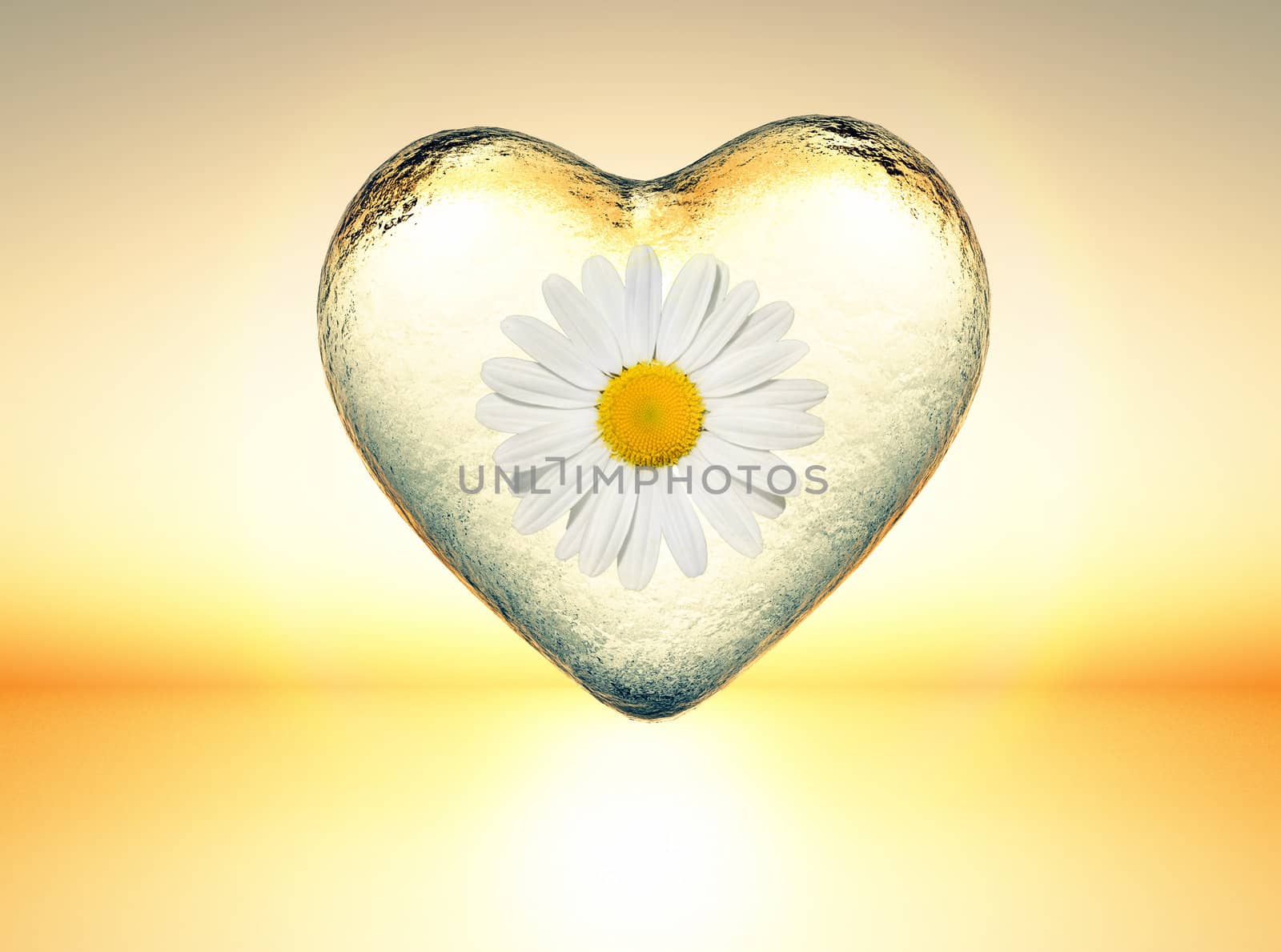 icy heart with a daisy inside